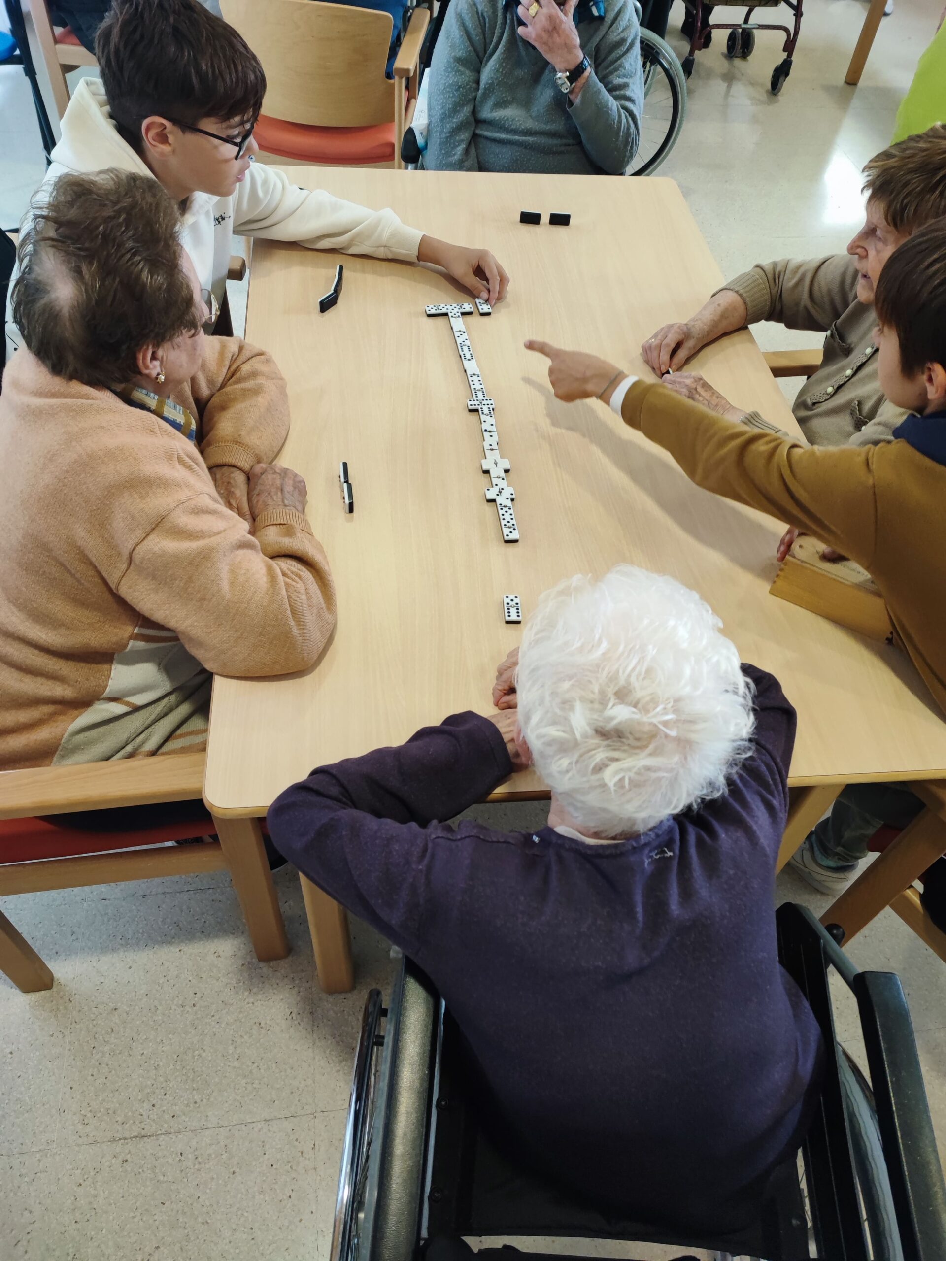 IMG_20241125_115800_1