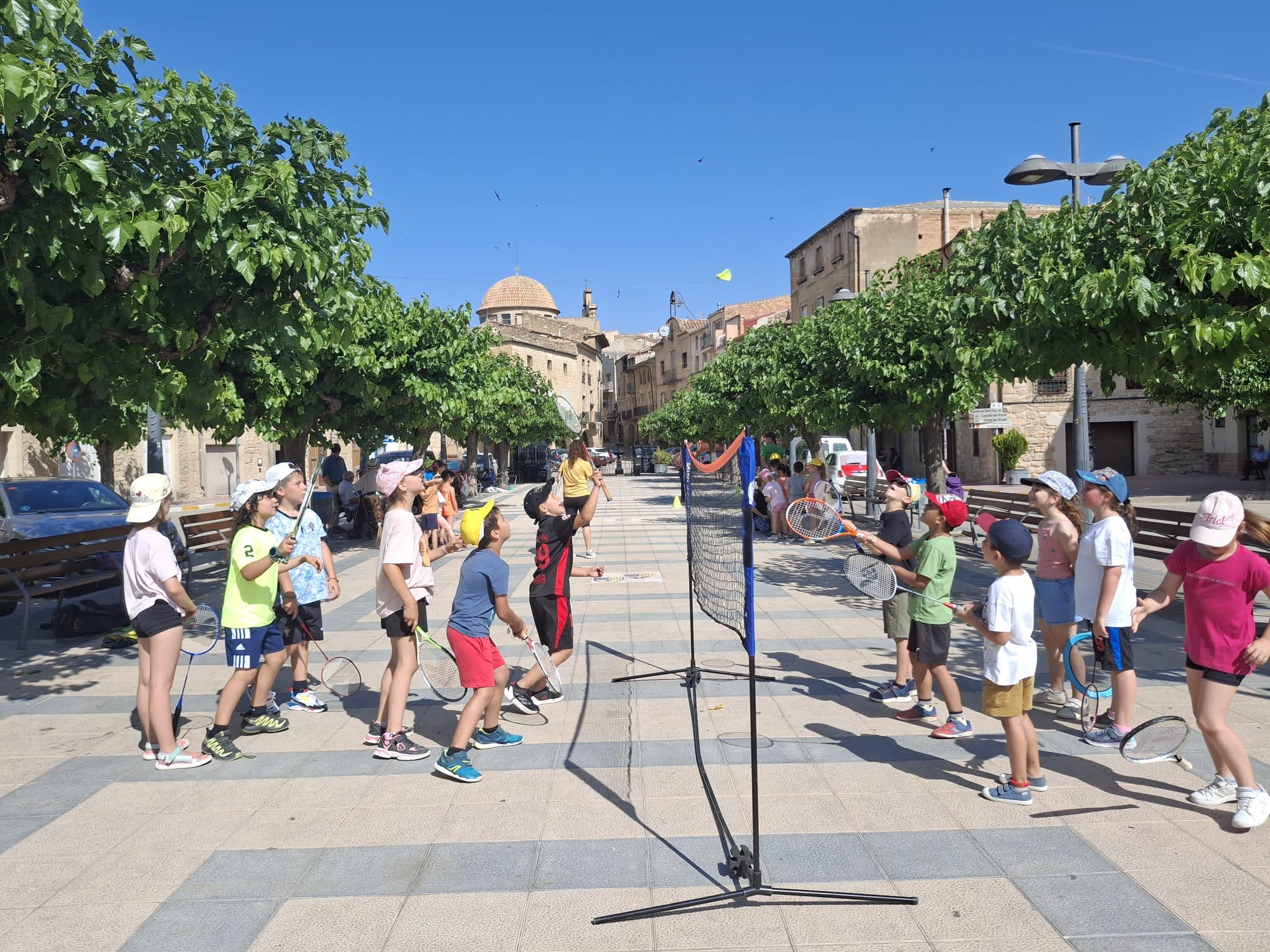 223fd0e9-ccfa-401a-a22d-39db78abc113