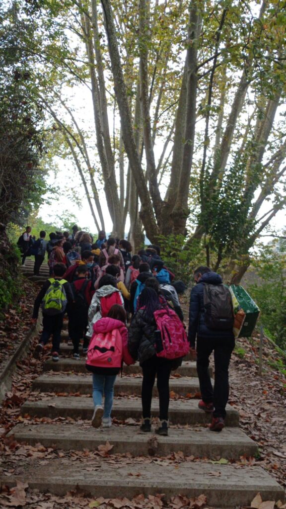 Sortida a la natura.