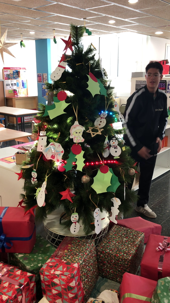 vlcsnap-2024-12-20-11h08m39s556