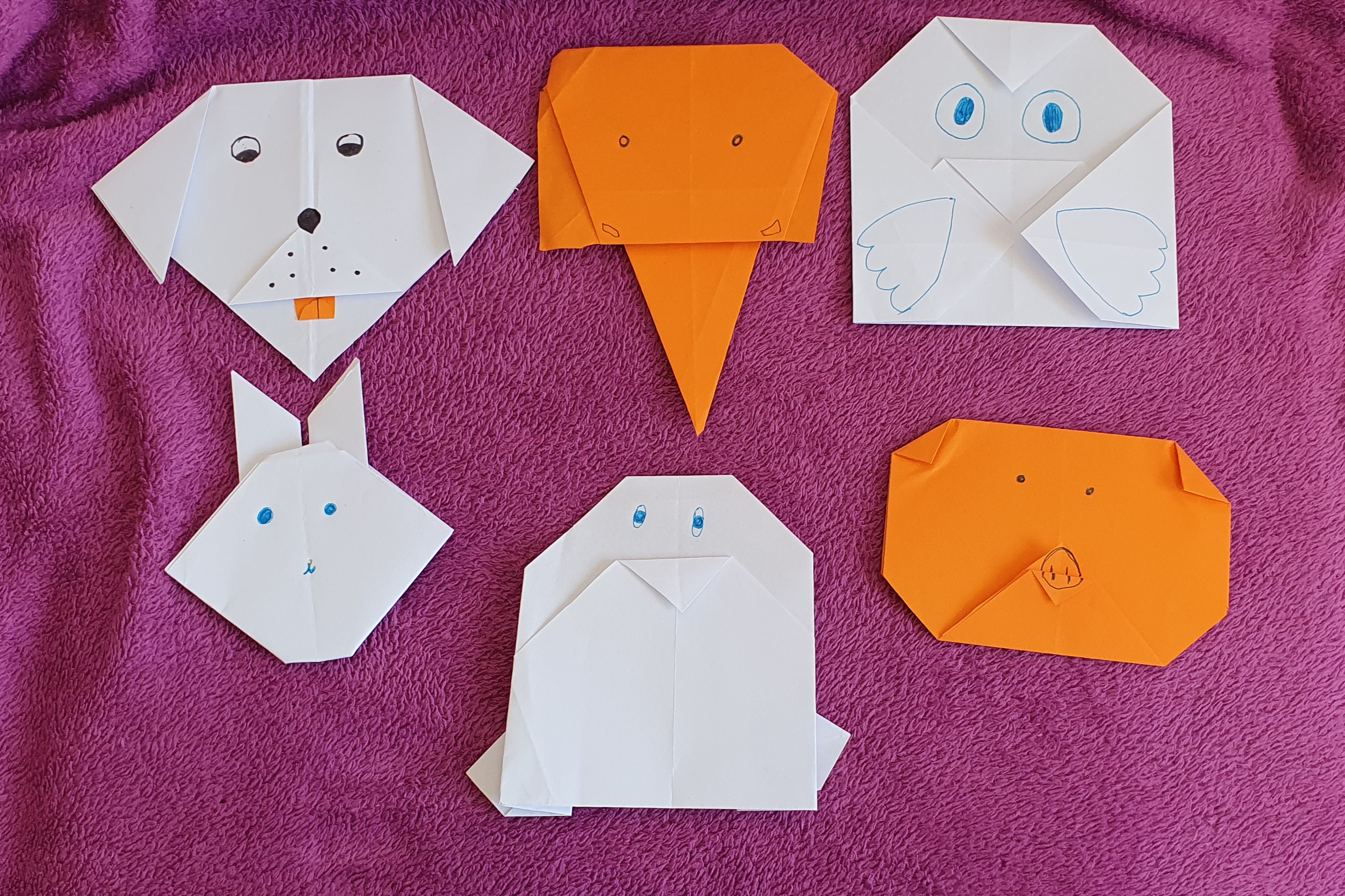 Jordina PAPIROFLÈXIA