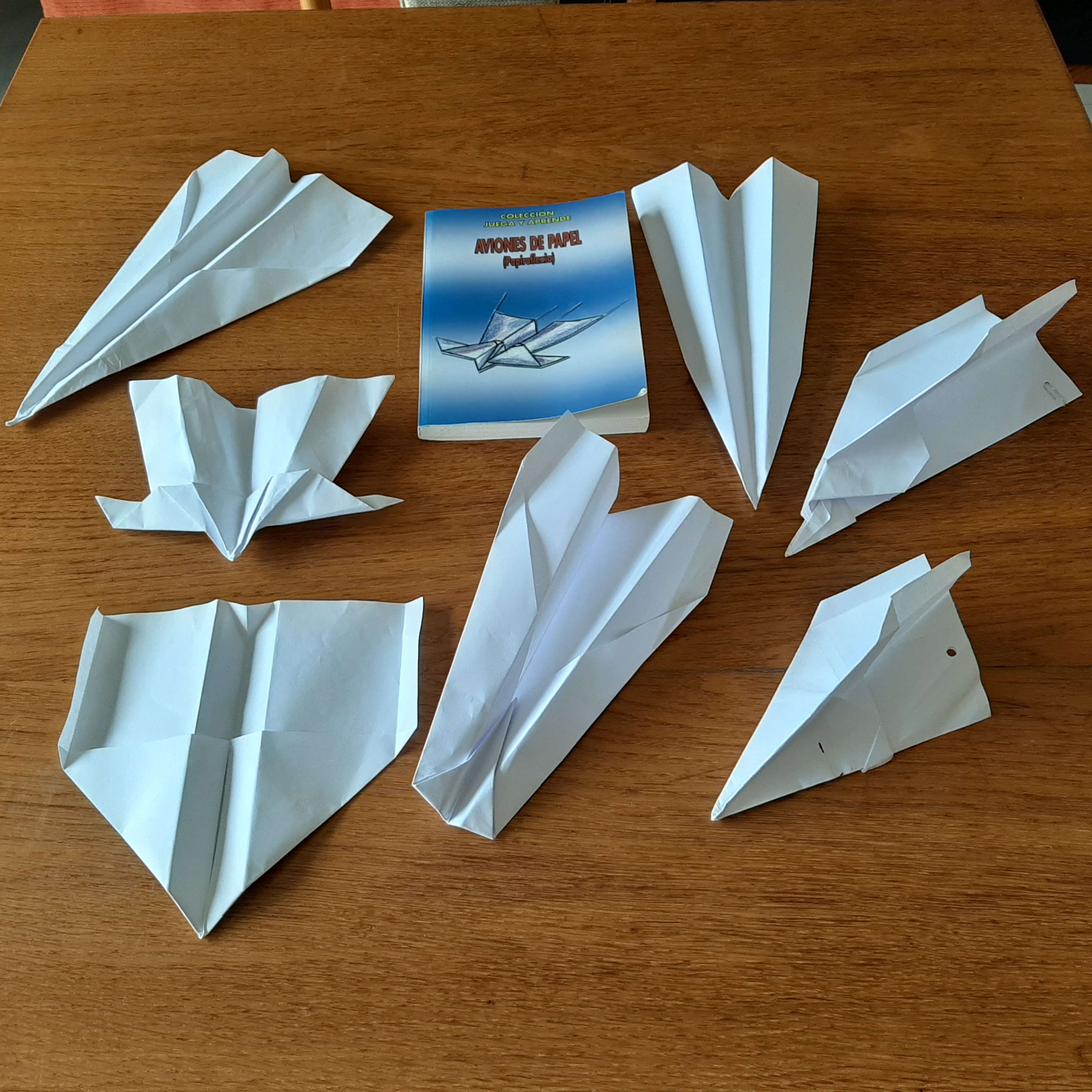 Vidal 2 origami