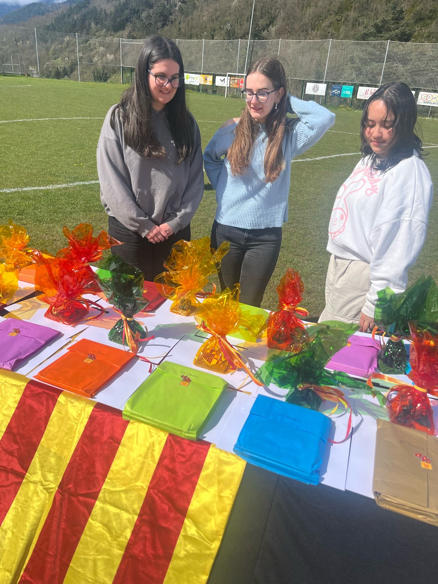 a3e17be9-04b2-4f54-9c2a-ddbe926fa113