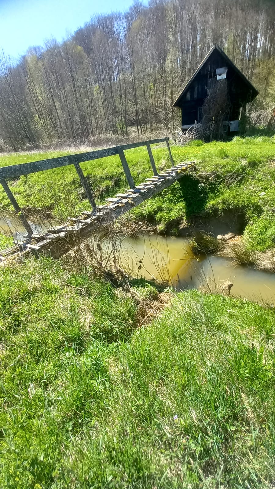 86913b86-3509-41bd-bfed-87ac8811f025