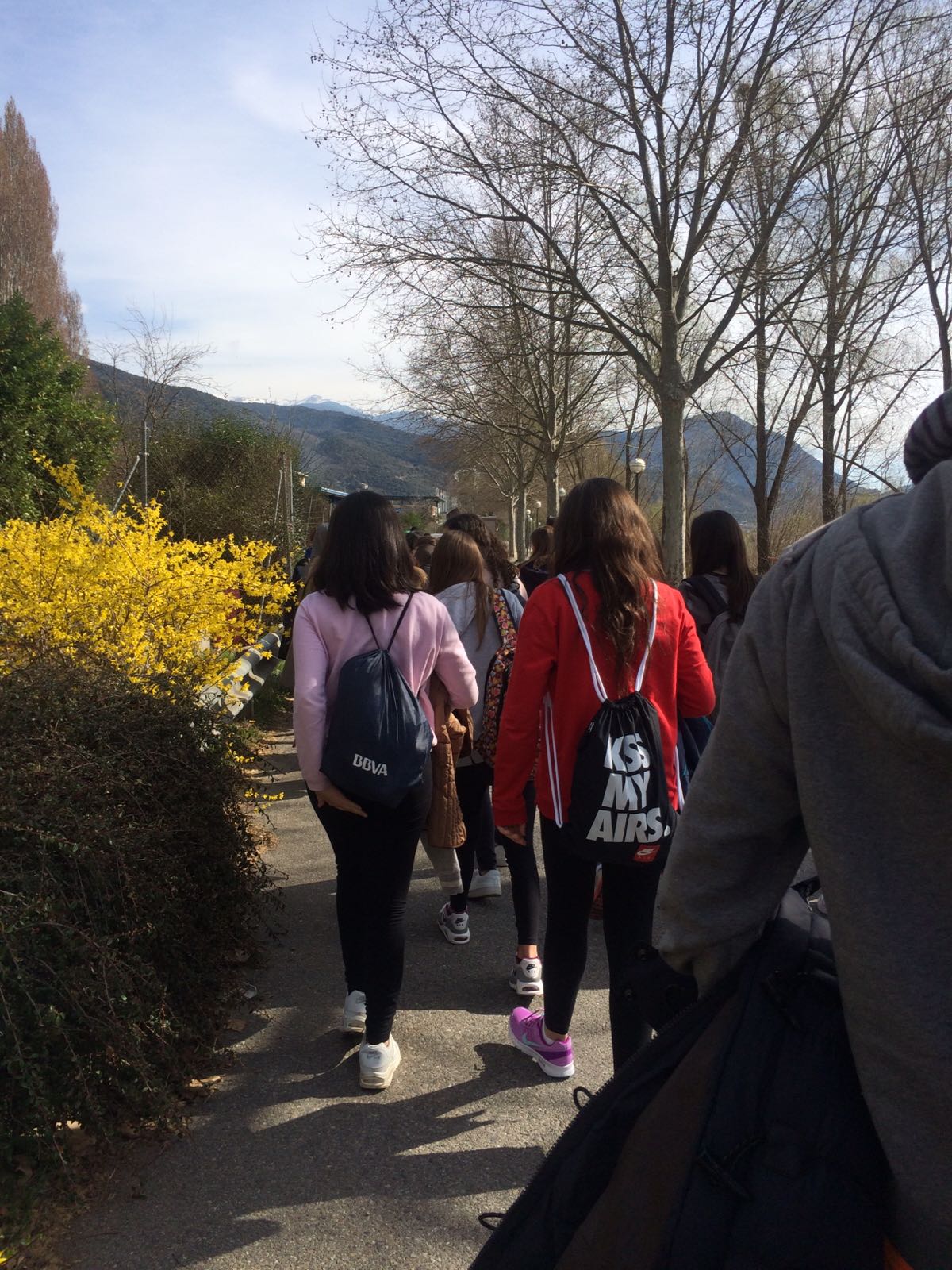 whatsapp-image-2017-03-20-at-10-38-57-1