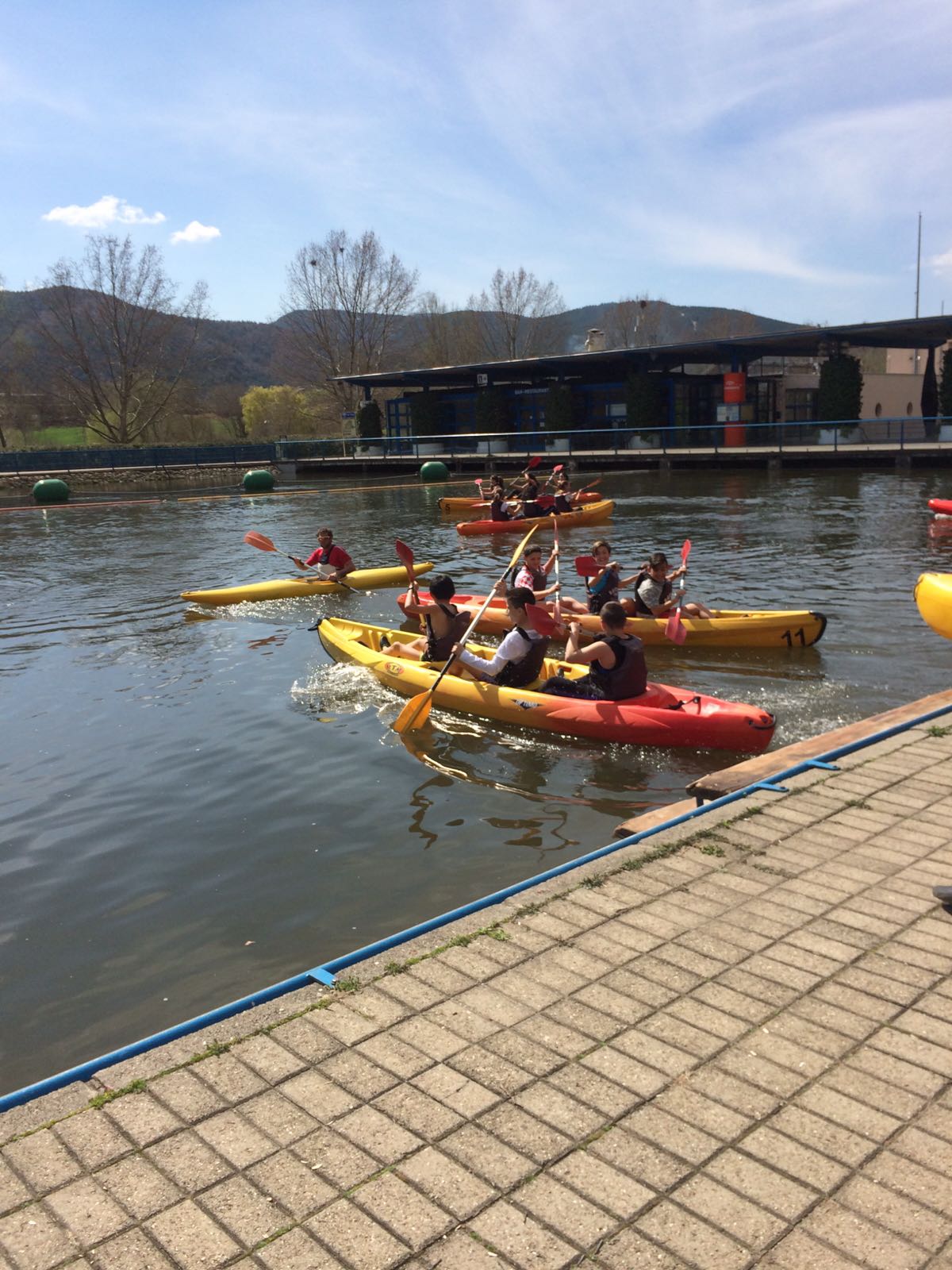 whatsapp-image-2017-03-20-at-13-18-11-1