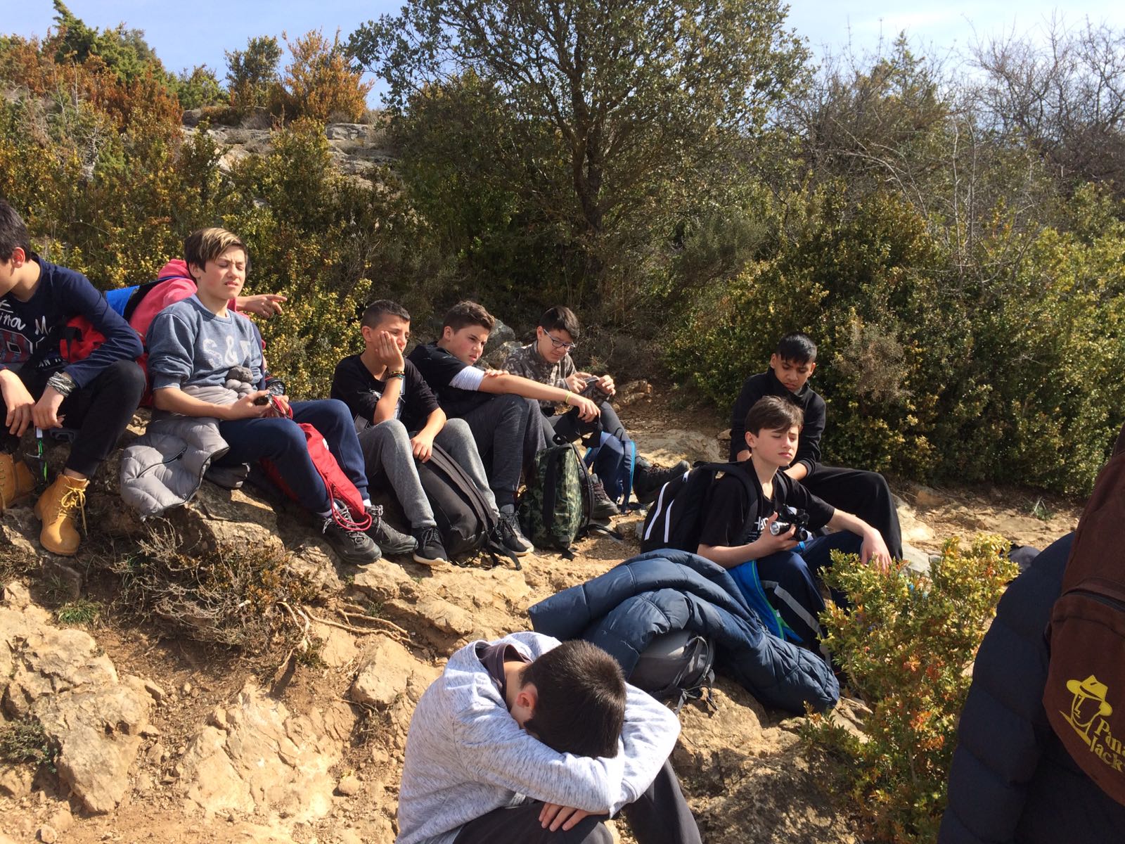 whatsapp-image-2017-03-21-at-19-01-32-1