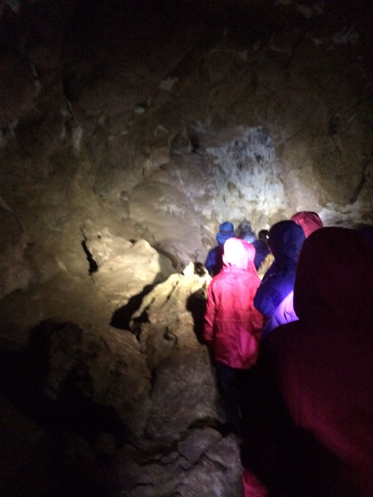 whatsapp-image-2017-03-21-at-19-01-48-1