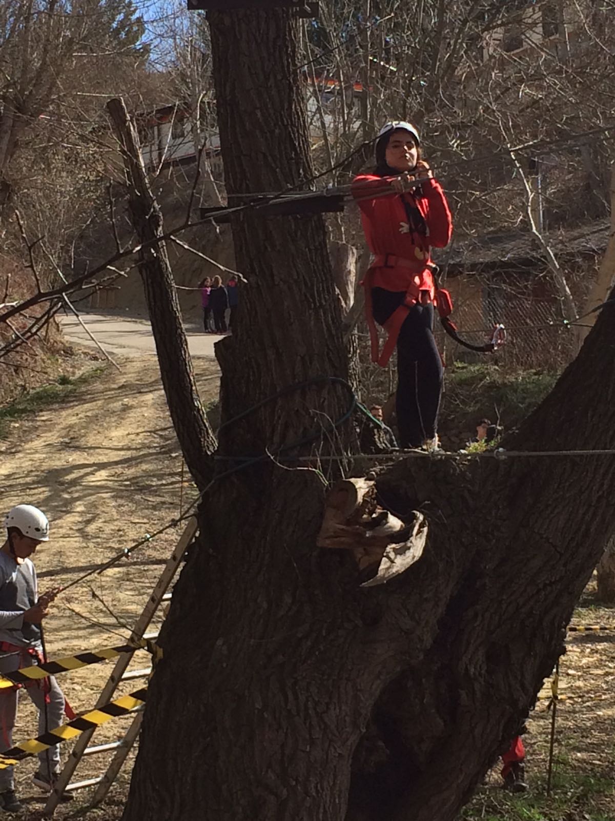 whatsapp-image-2017-03-22-at-14-53-53-1