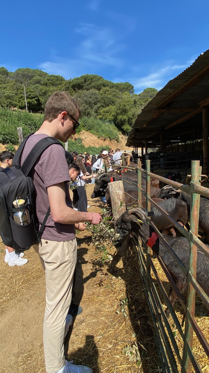 3r_diaErasmusBaden_10