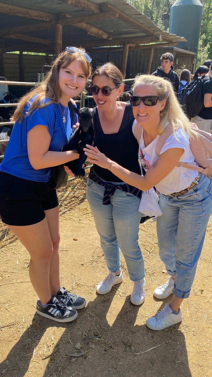 3r_diaErasmusBaden_13