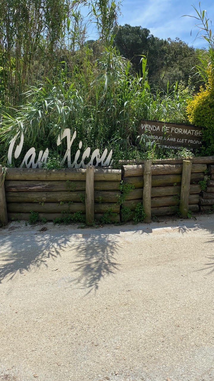 3r_diaErasmusBaden_2