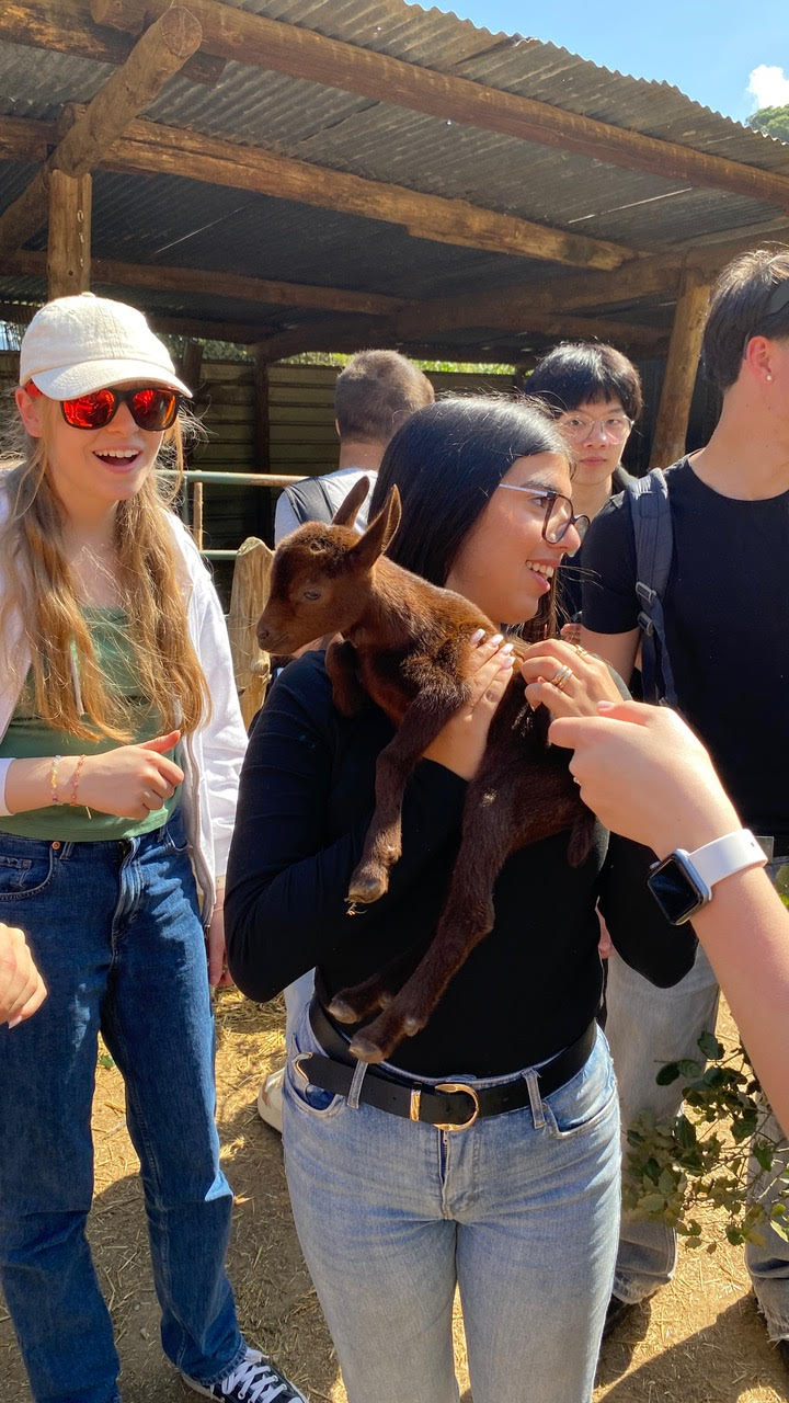 3r_diaErasmusBaden_6