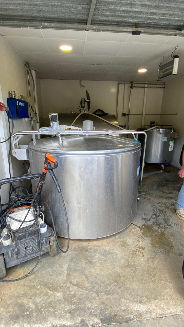 3r_diaErasmusBaden_7