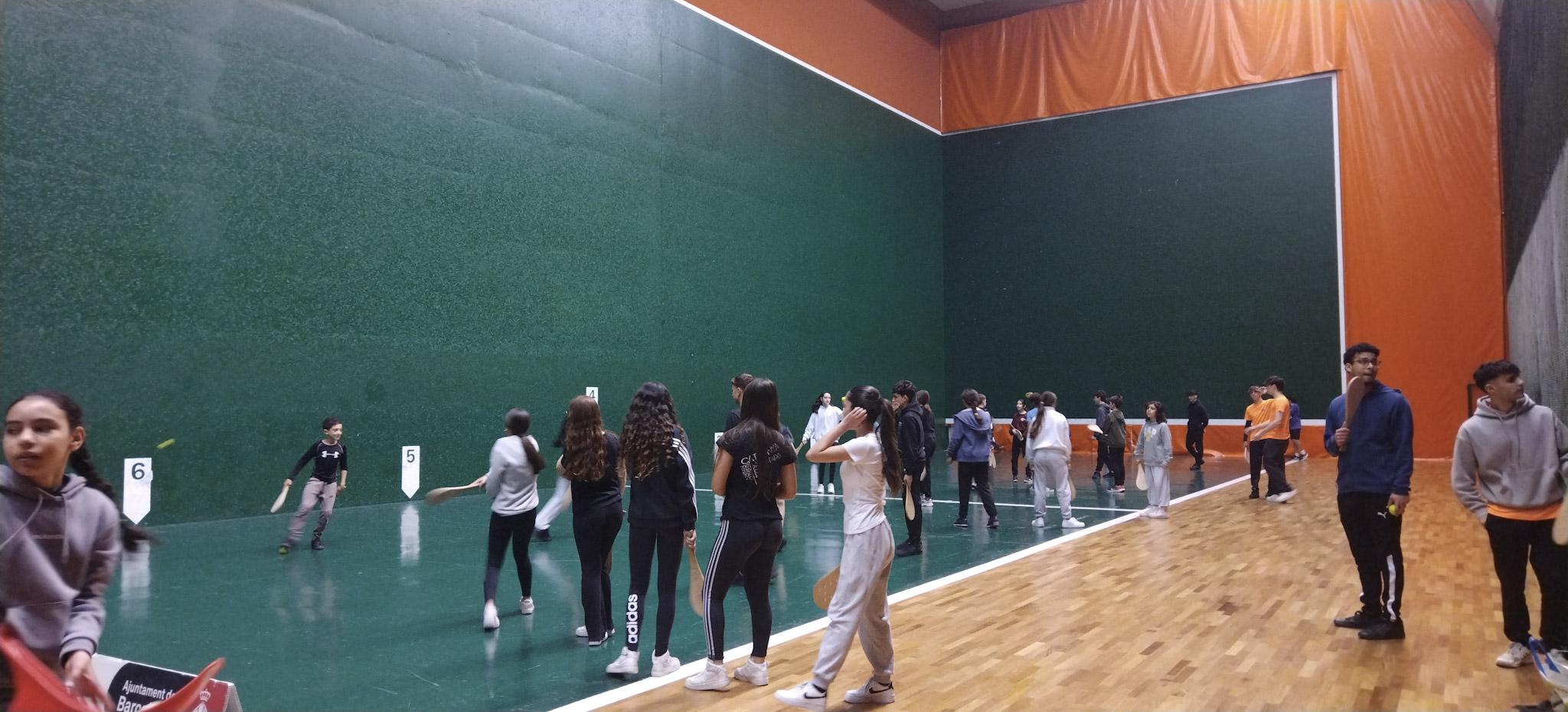 IMG_20250226_111351 (1)