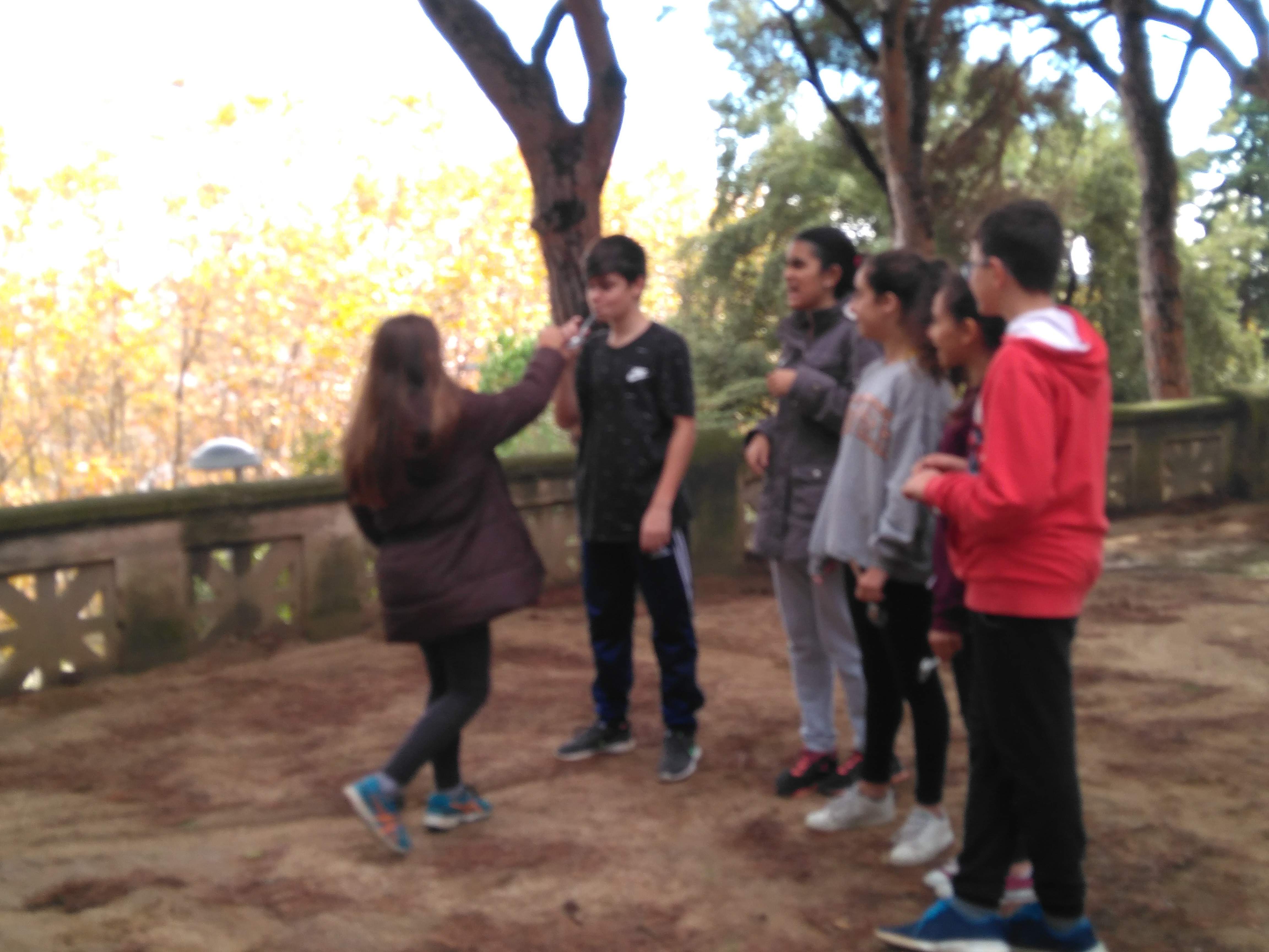 IMG_20181109_123307_662