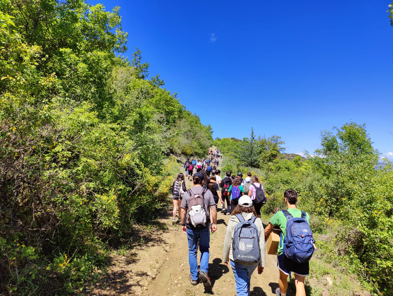 WhatsApp Image 2025-05-08 at 00.26.00