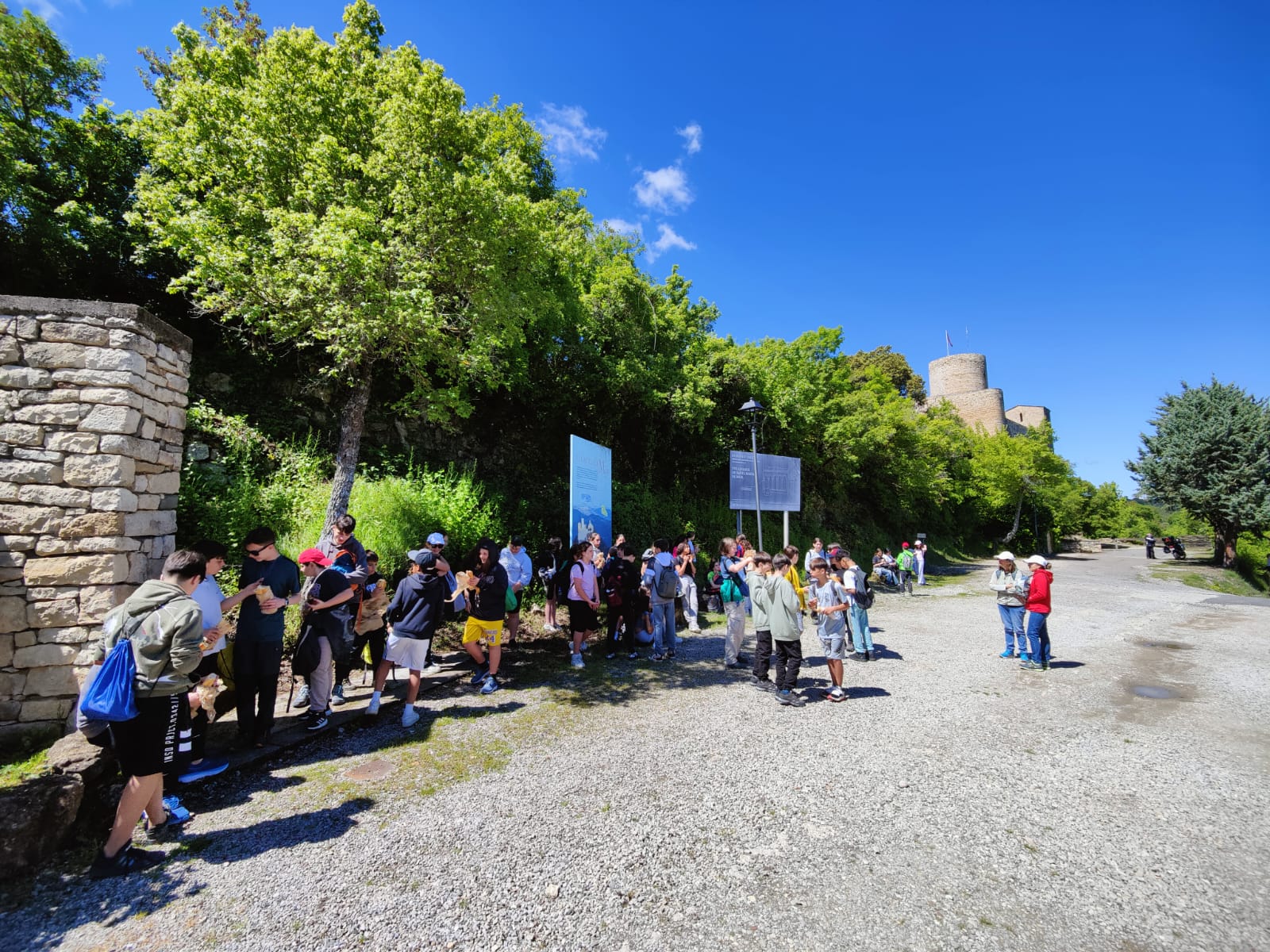 WhatsApp Image 2025-05-08 at 00.26.04