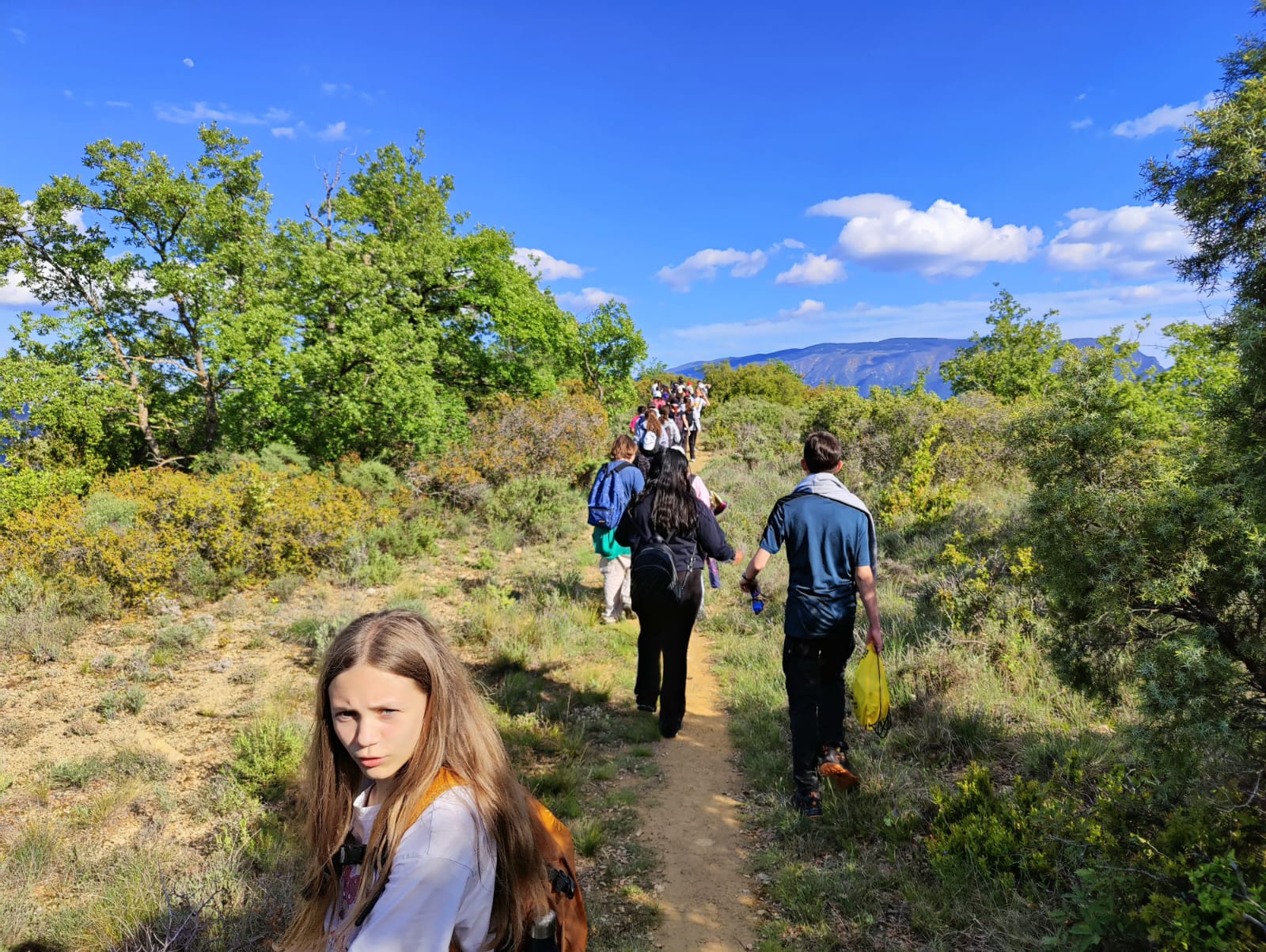 WhatsApp Image 2025-05-08 at 00.36.07 (1)