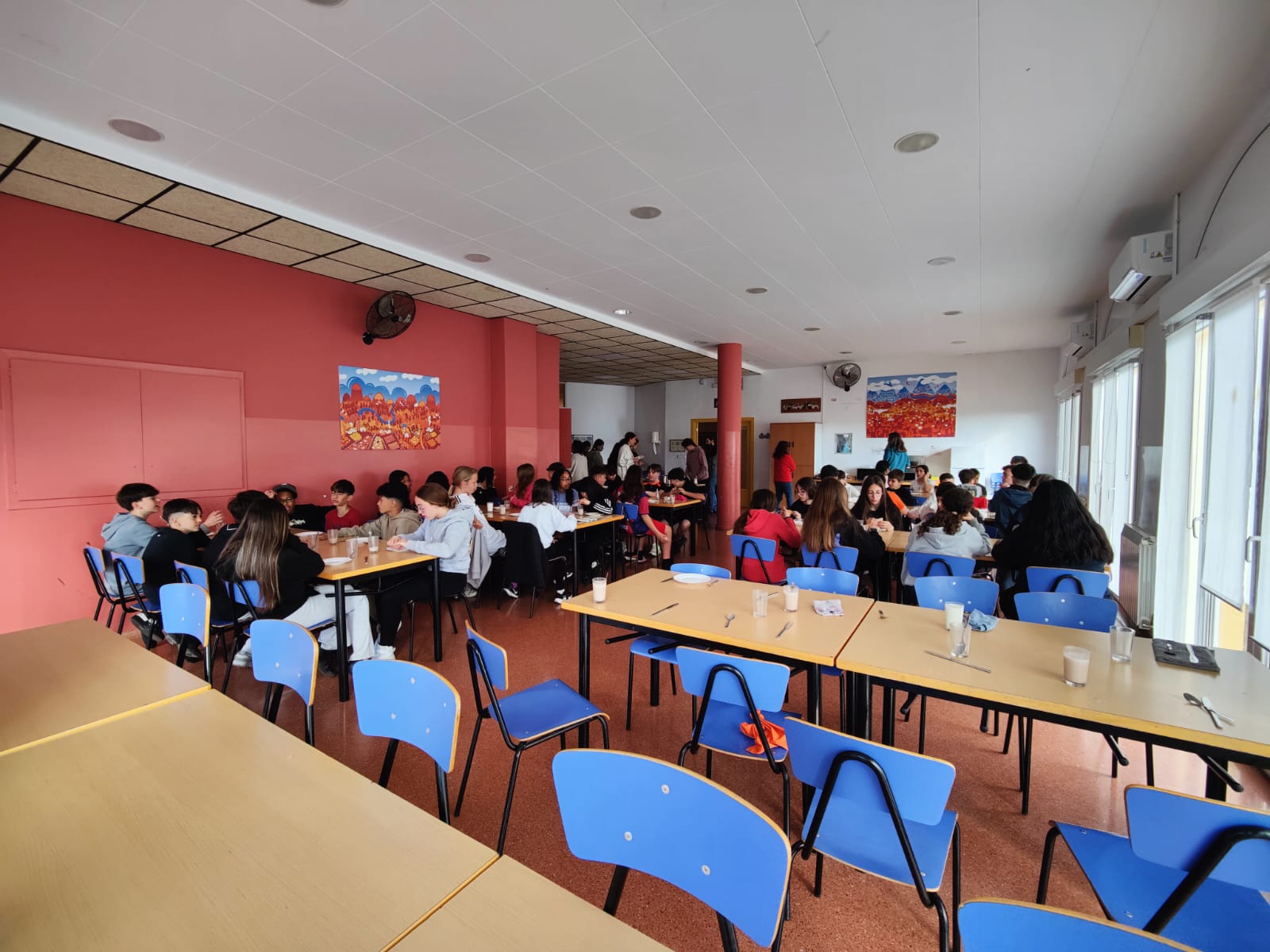 WhatsApp Image 2025-05-08 at 15.53.14