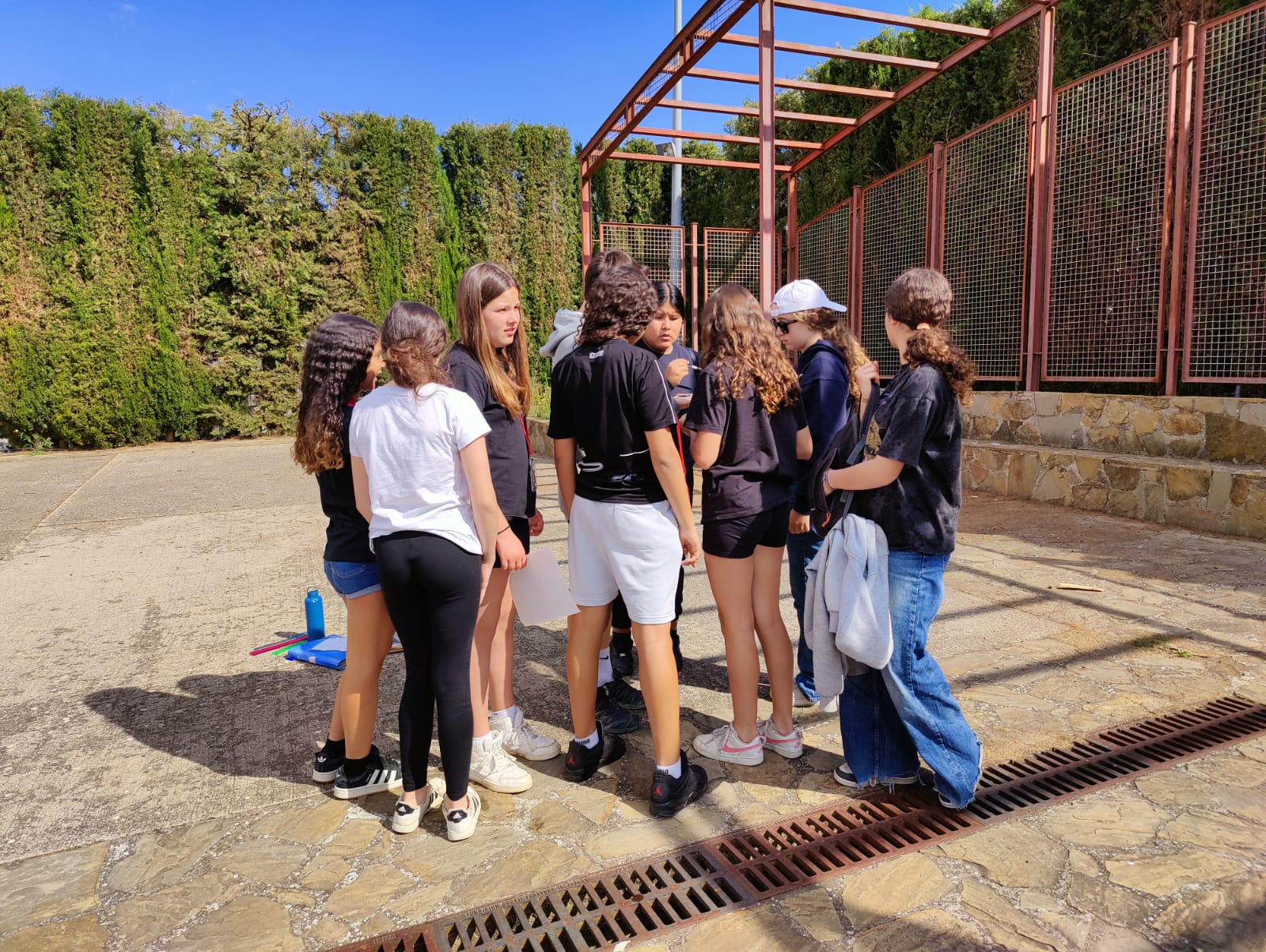 WhatsApp Image 2025-05-08 at 15.53.16