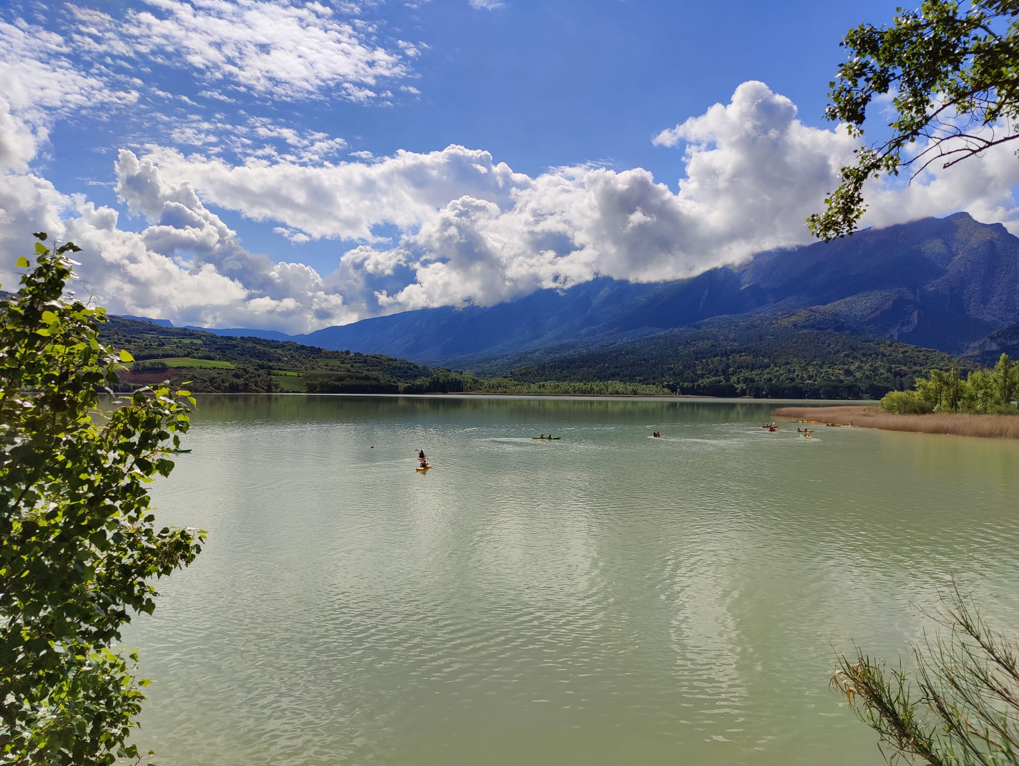 WhatsApp Image 2025-05-09 at 20.35.04 (1)