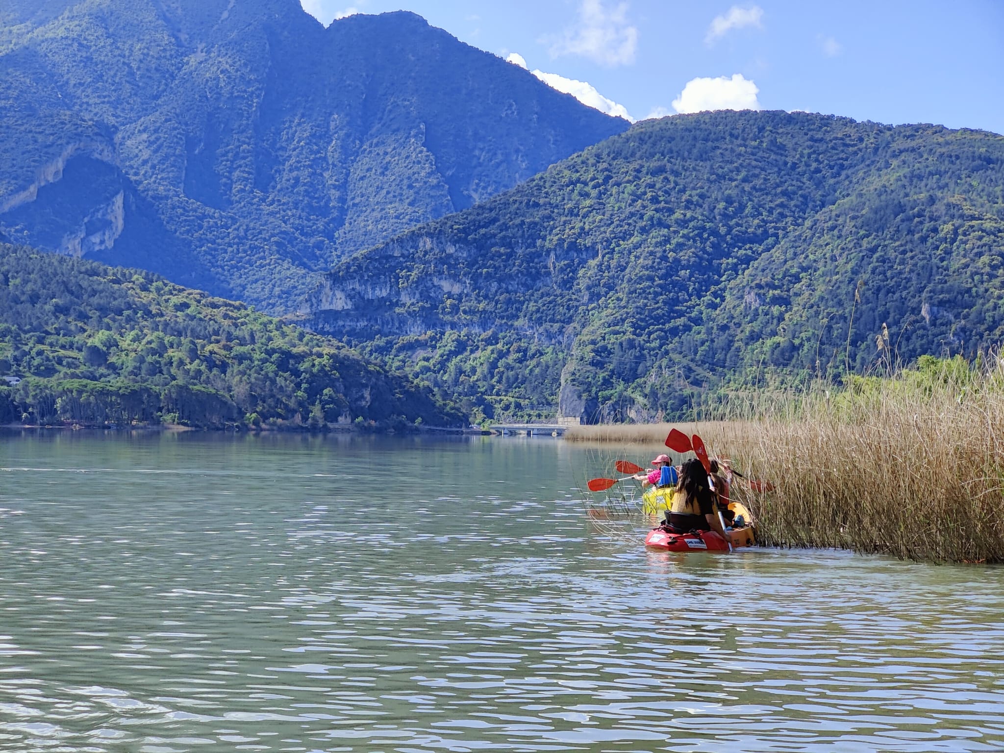 WhatsApp Image 2025-05-09 at 20.35.04 (5)