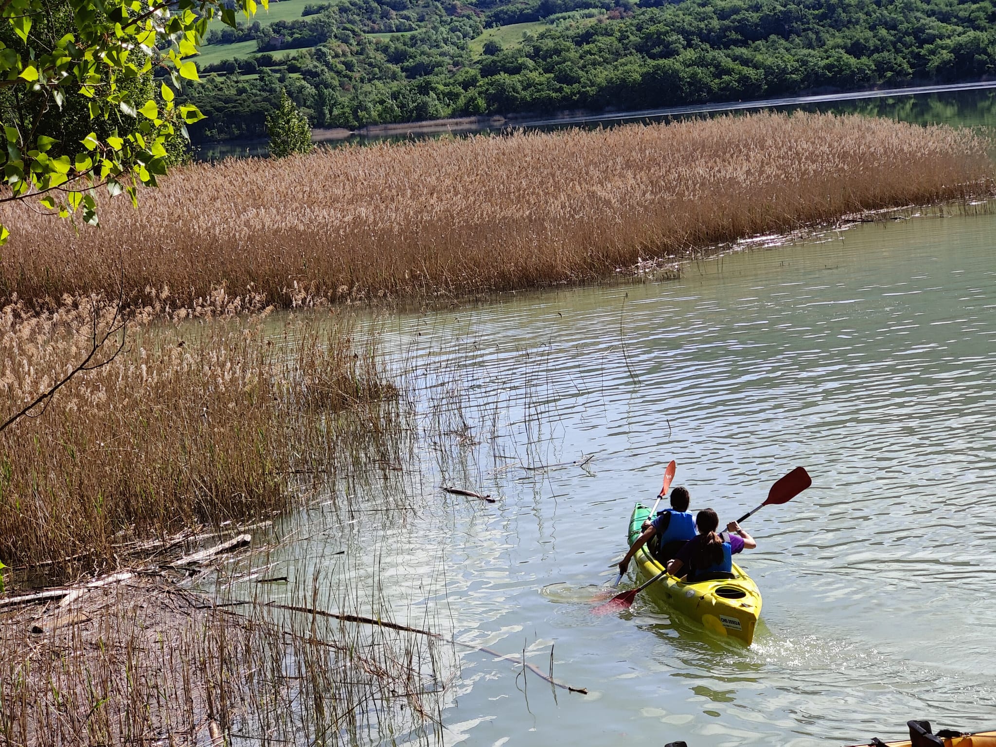 WhatsApp Image 2025-05-09 at 20.35.07