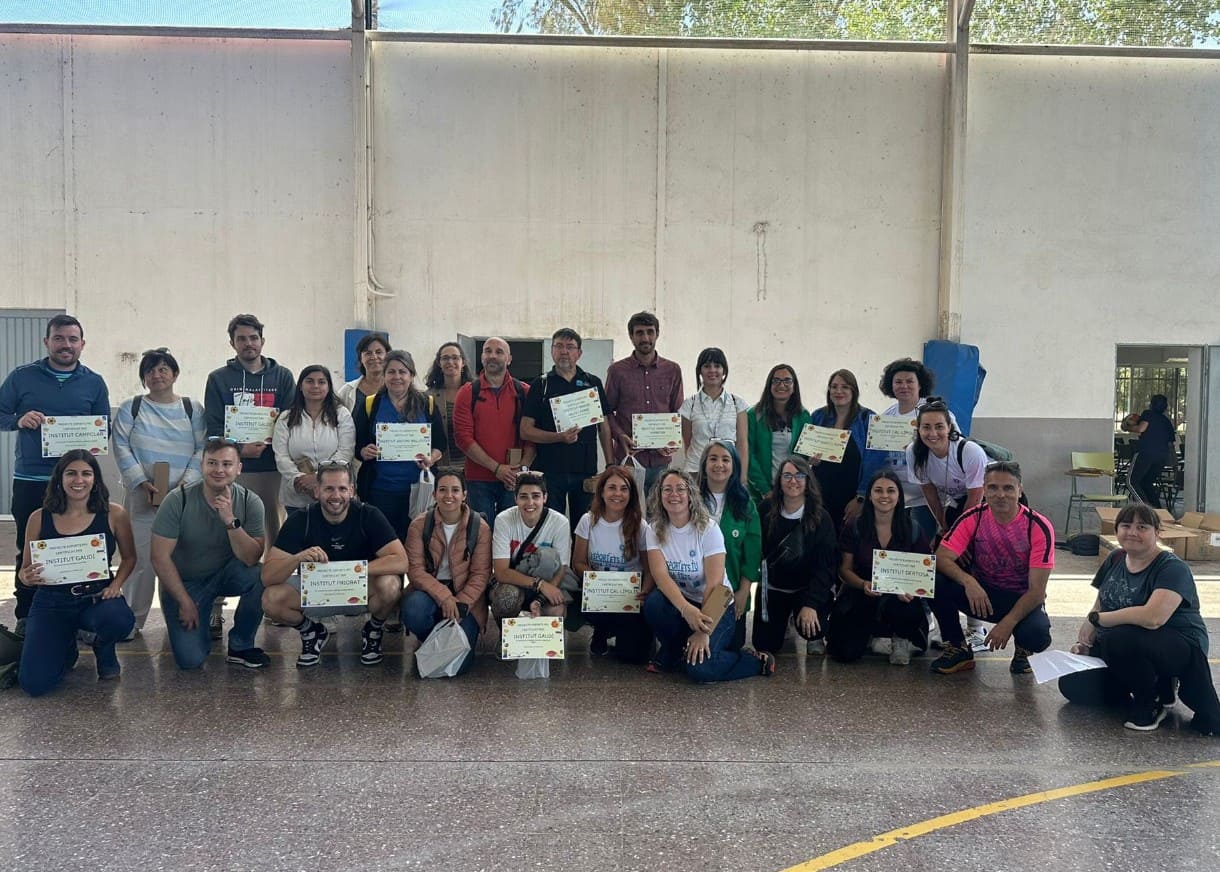 13 professorat pfis