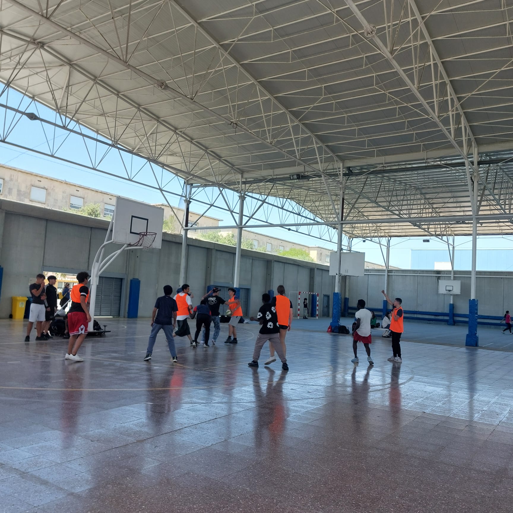 basquet