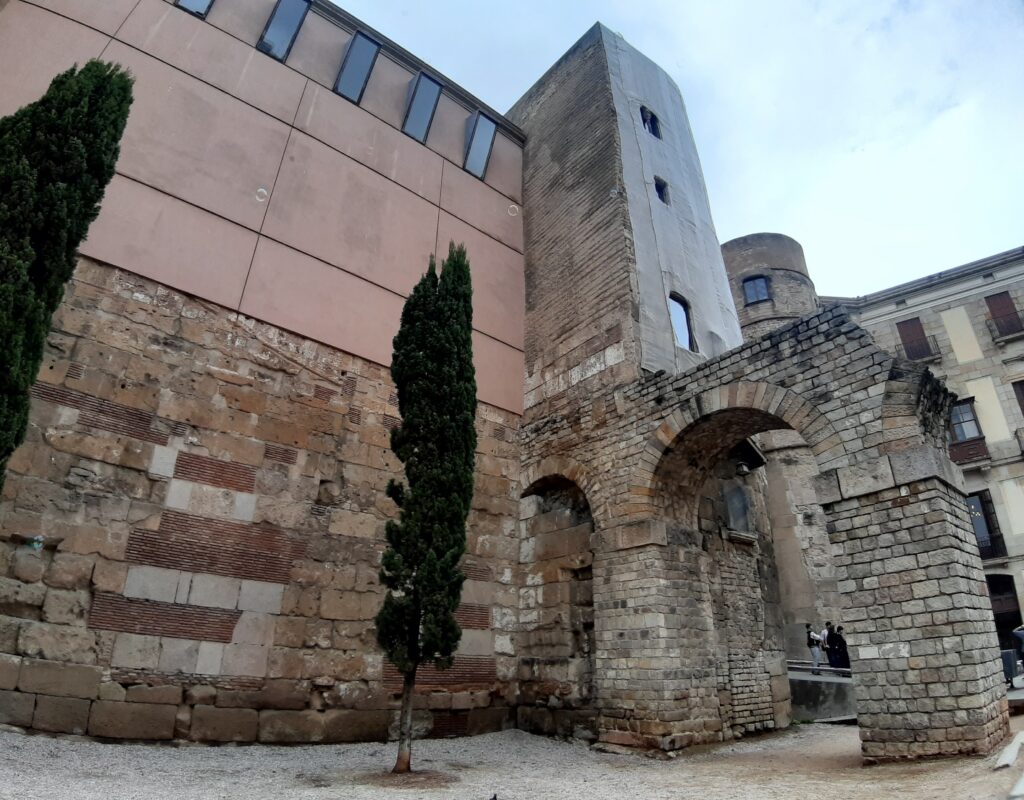 Departaments – Pàgina 5 – Institut Margarida Xirgu