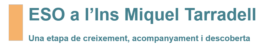 ESO a l'INS Miquel Tarradell