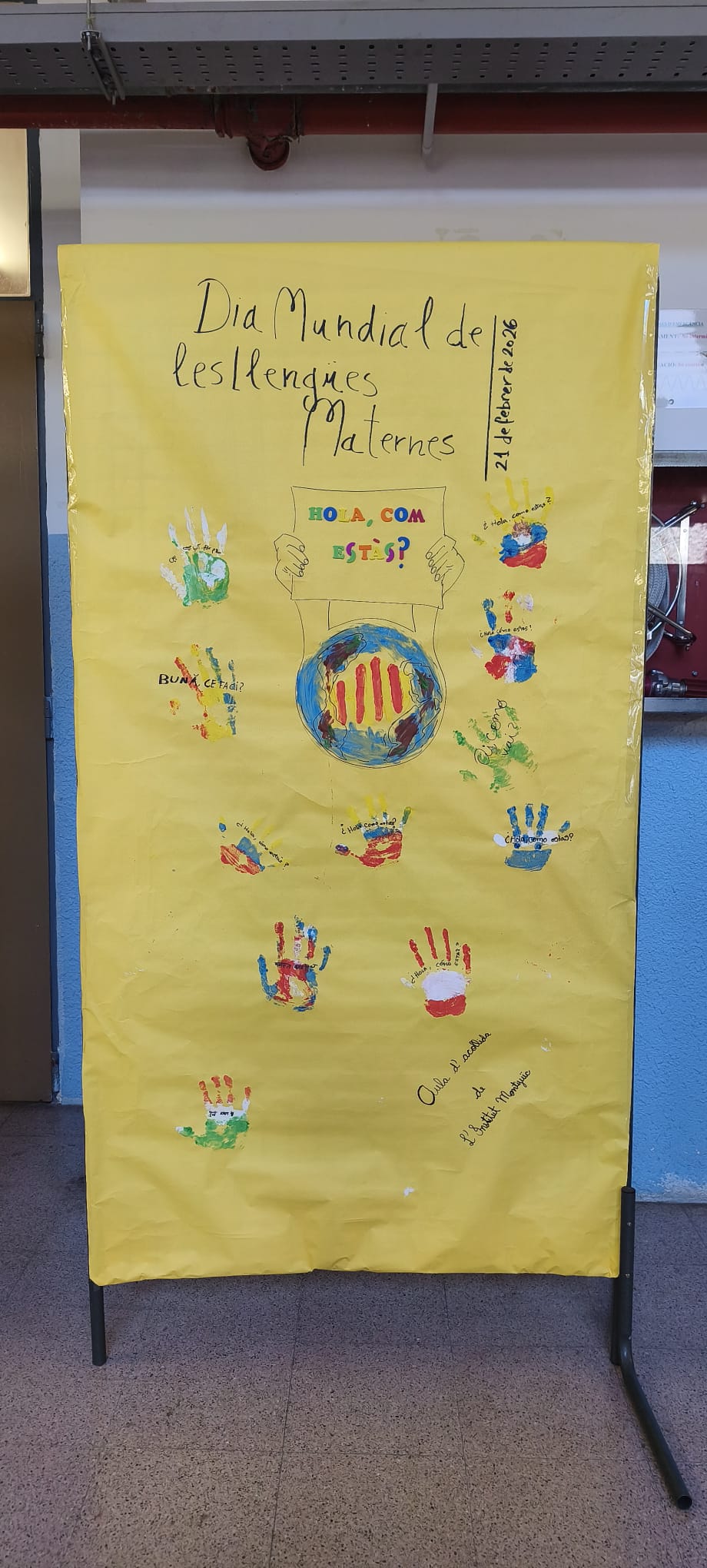 WhatsApp Image 2026-02-19 at 21.33.55