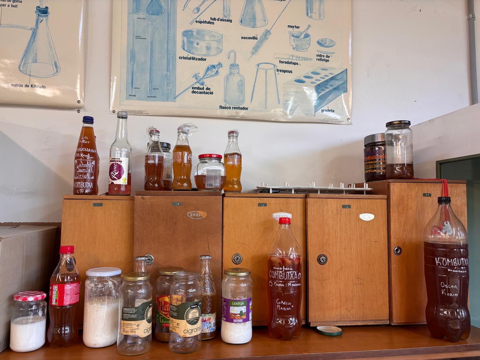 d657b54a-4371-4299-aacc-bff963b263b9