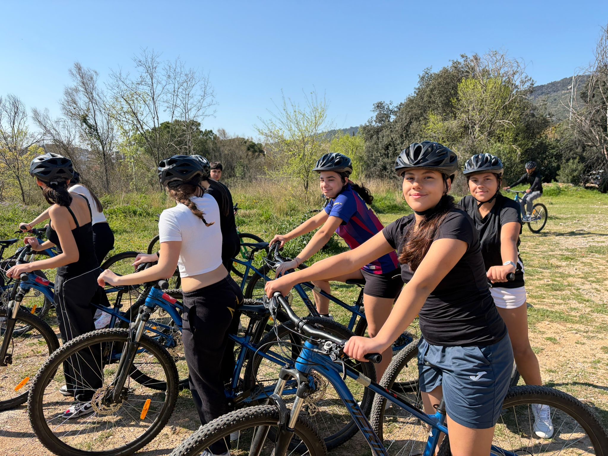 49ec9f5a-858b-415b-8903-418ffac0f0d1