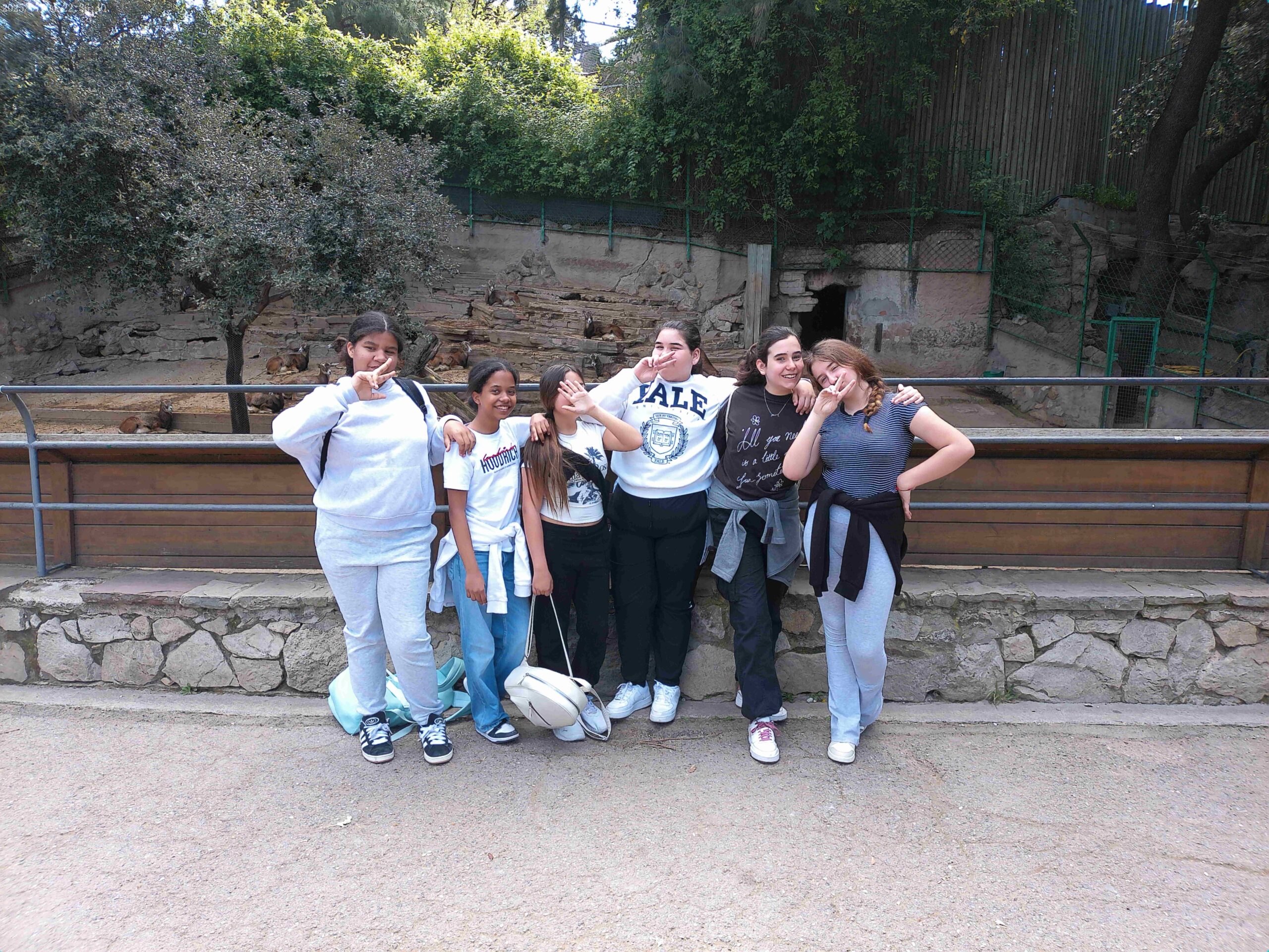 ANMP0315-min