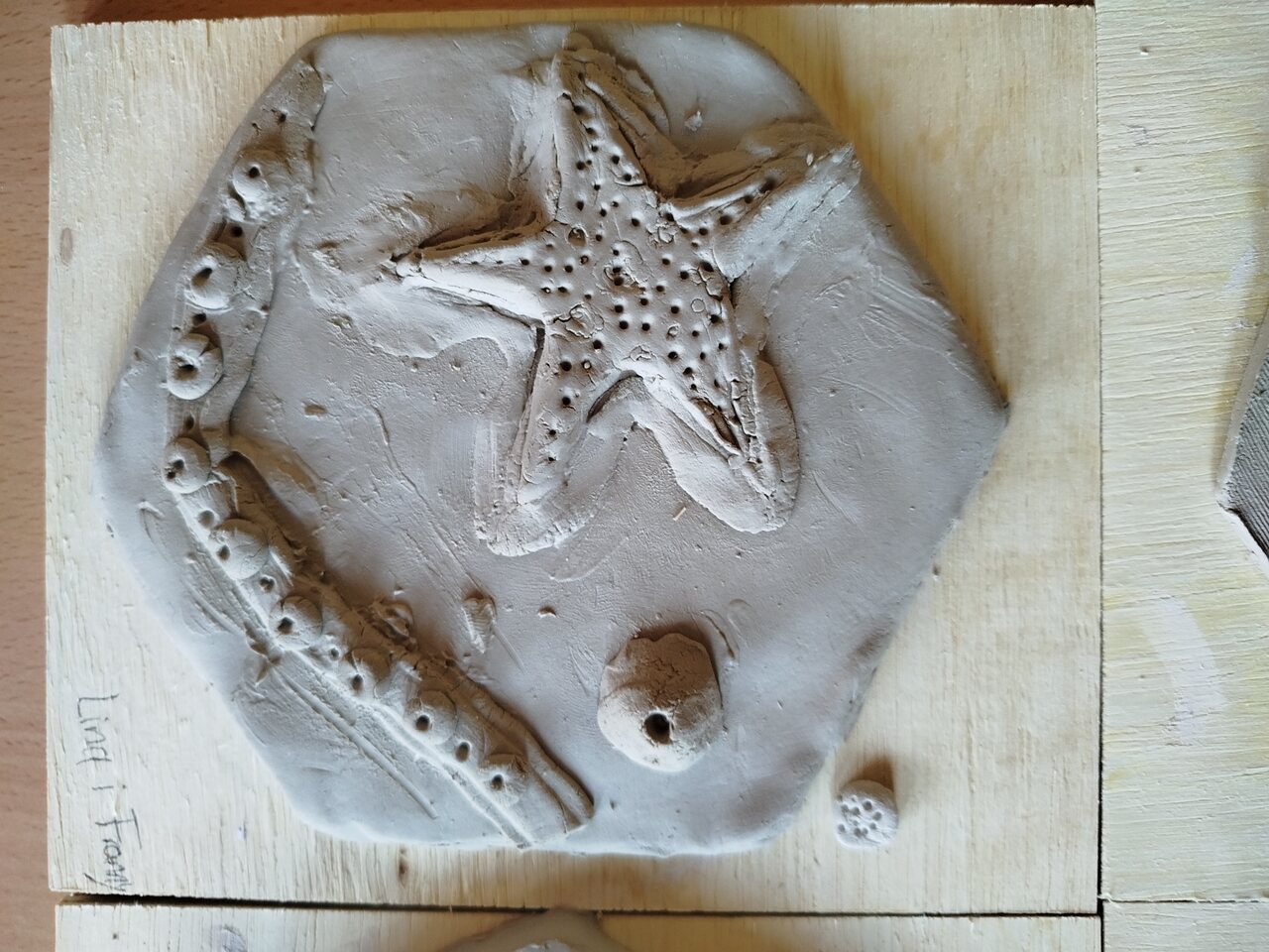 1000055120_Easy-Resize.com
