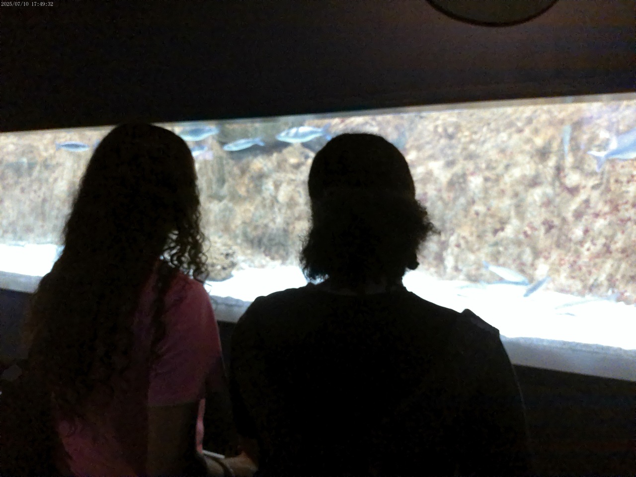 ANMP0361_Easy-Resize.com