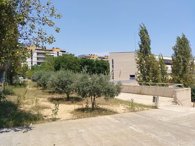 IMG_20200625_132702_795_opt