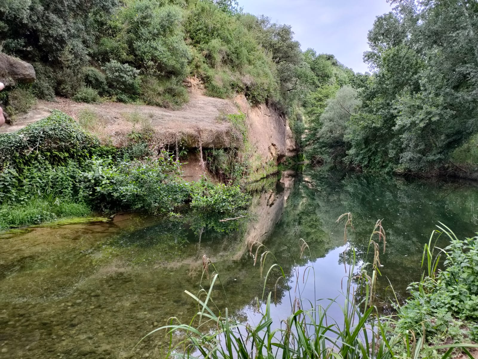 WhatsApp Image 2022-06-07 at 16.57.27