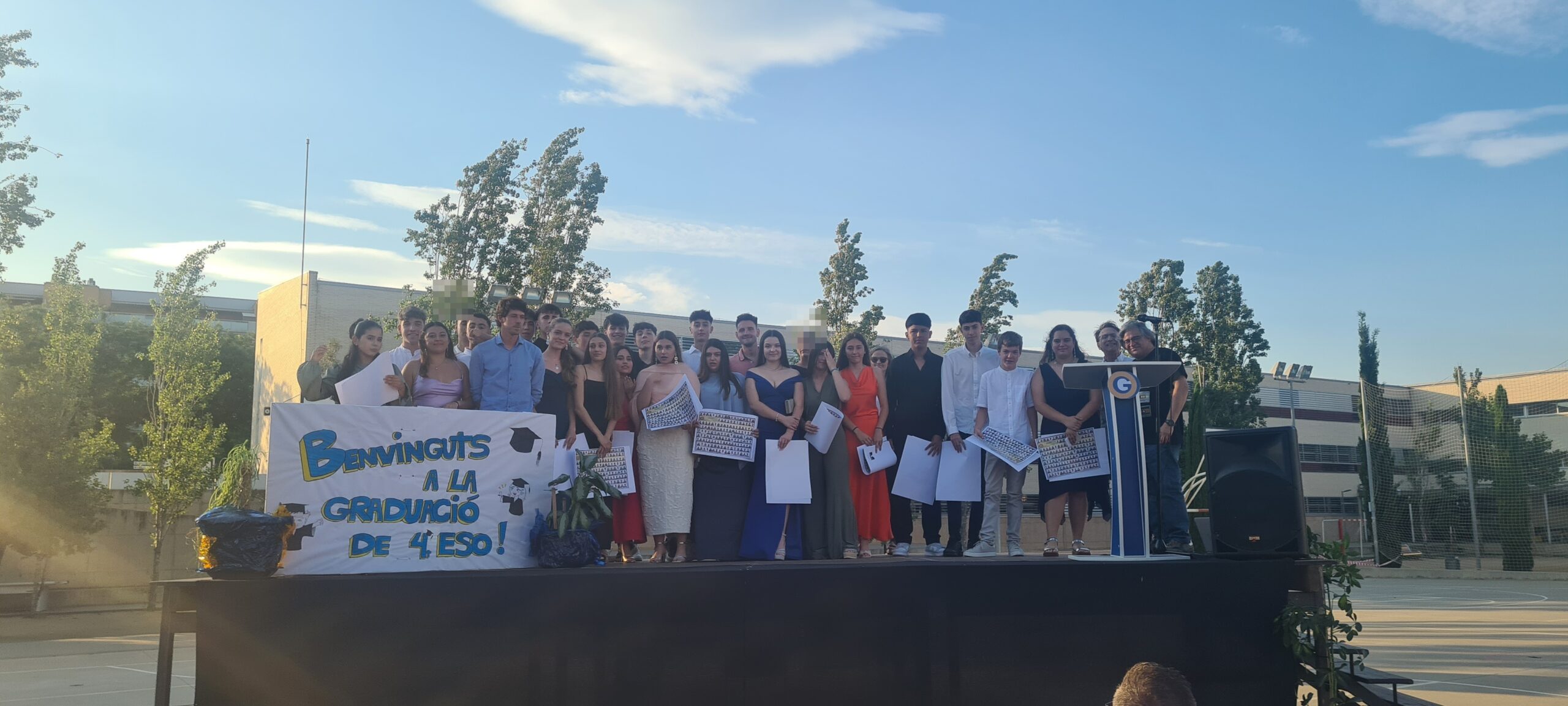 4D rayan resina pixelats