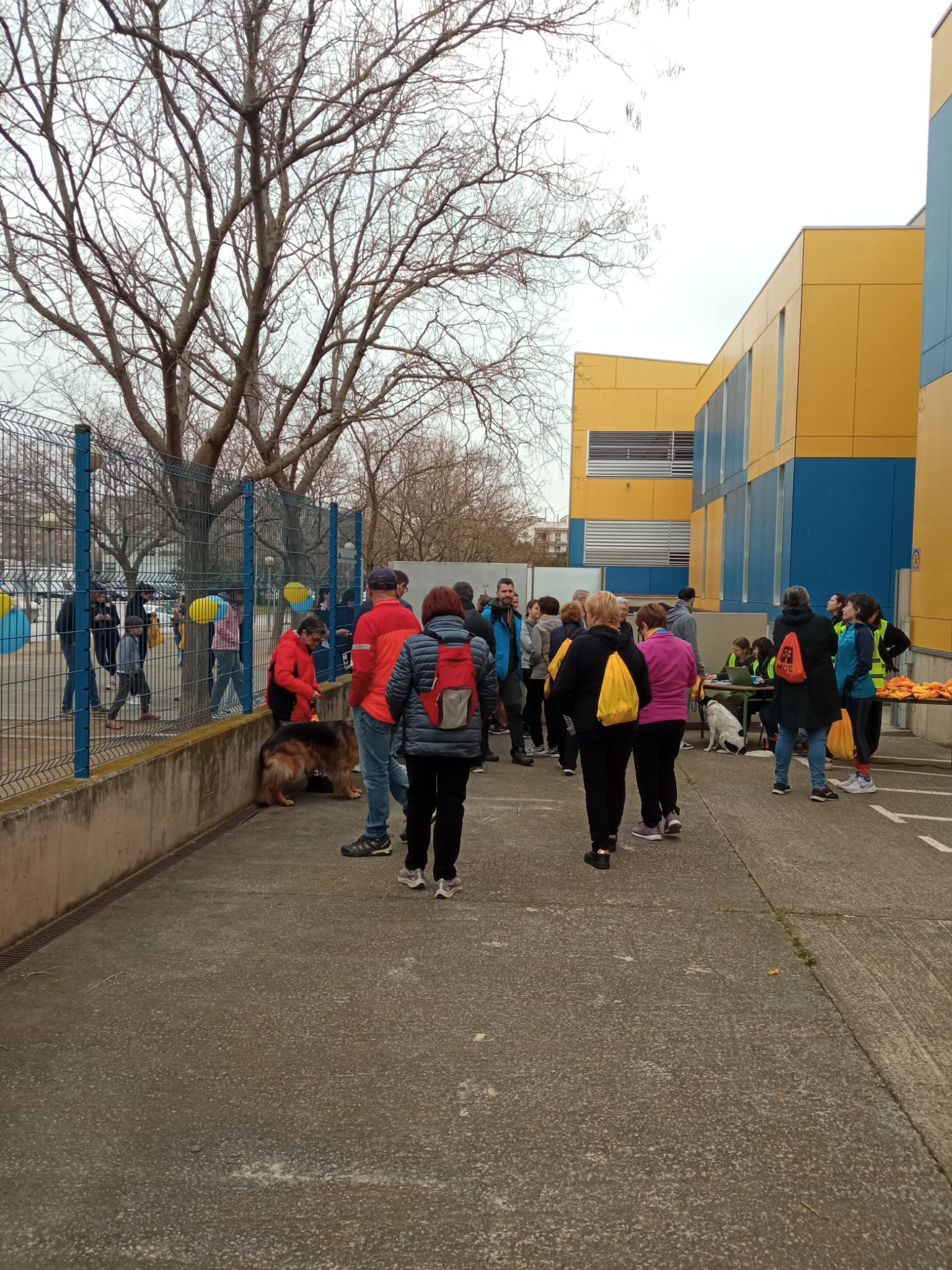 WhatsApp Image 2025-02-16 at 14.30.25