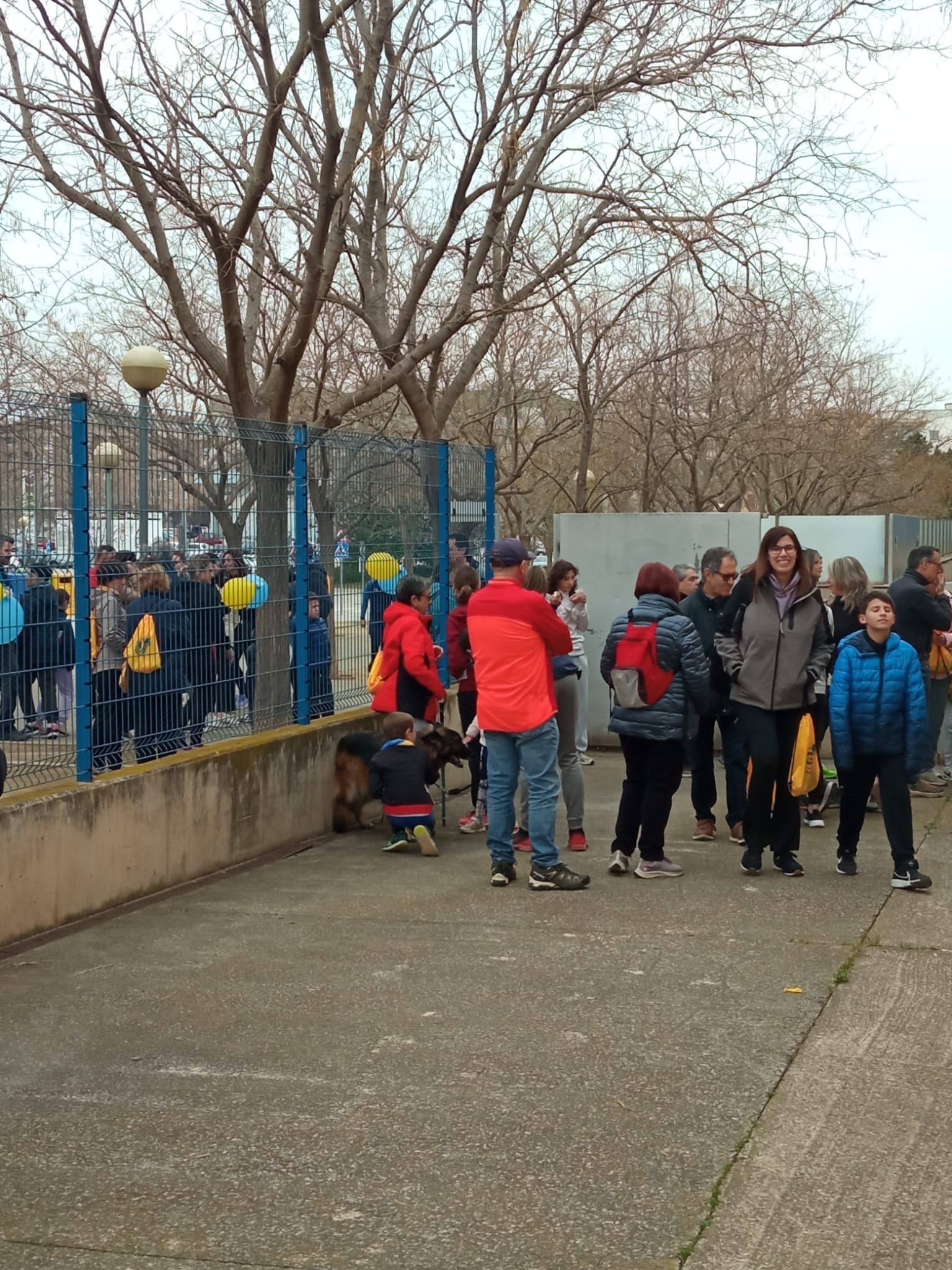 WhatsApp Image 2025-02-16 at 14.30.26