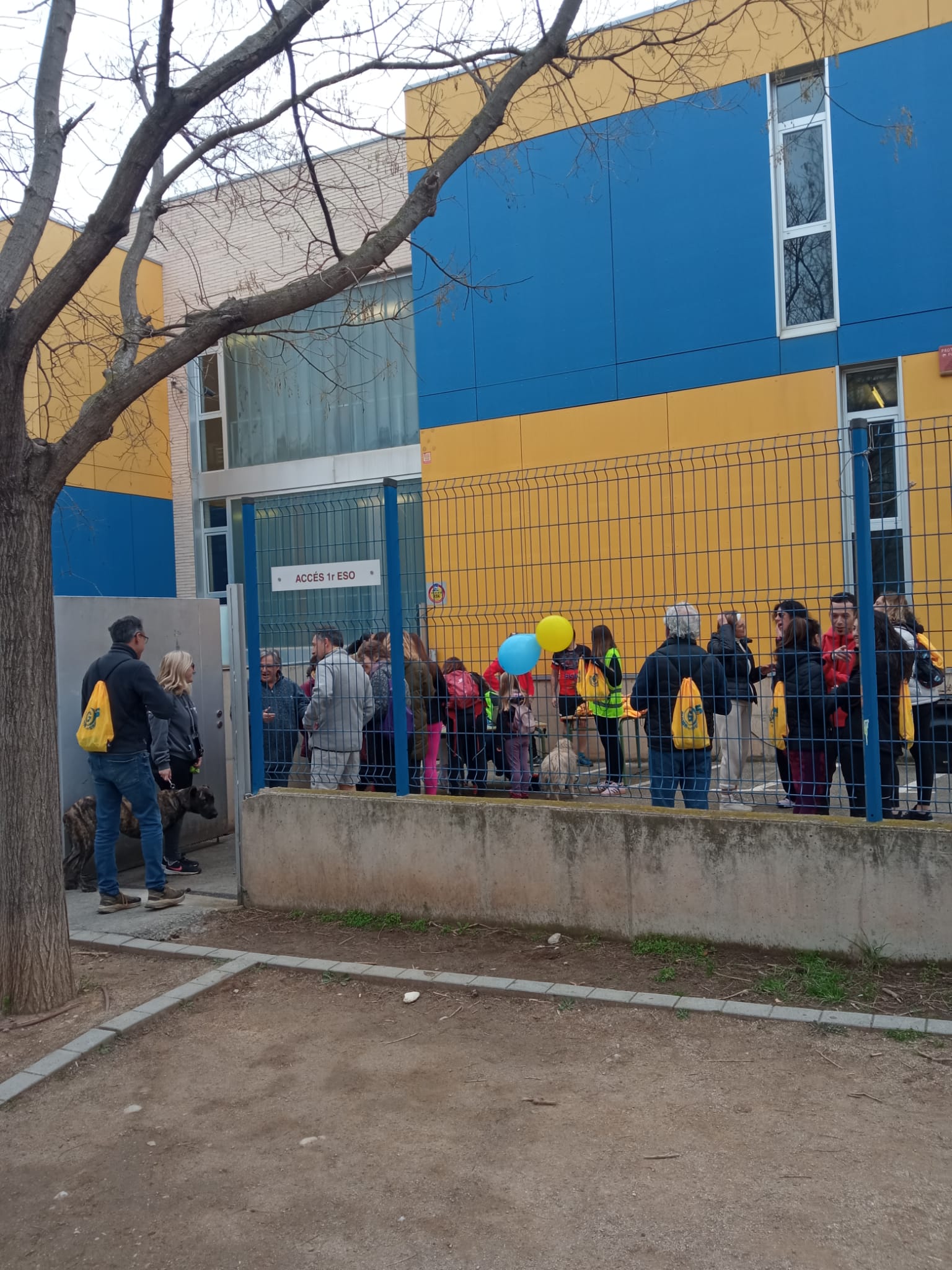 WhatsApp Image 2025-02-16 at 14.30.29