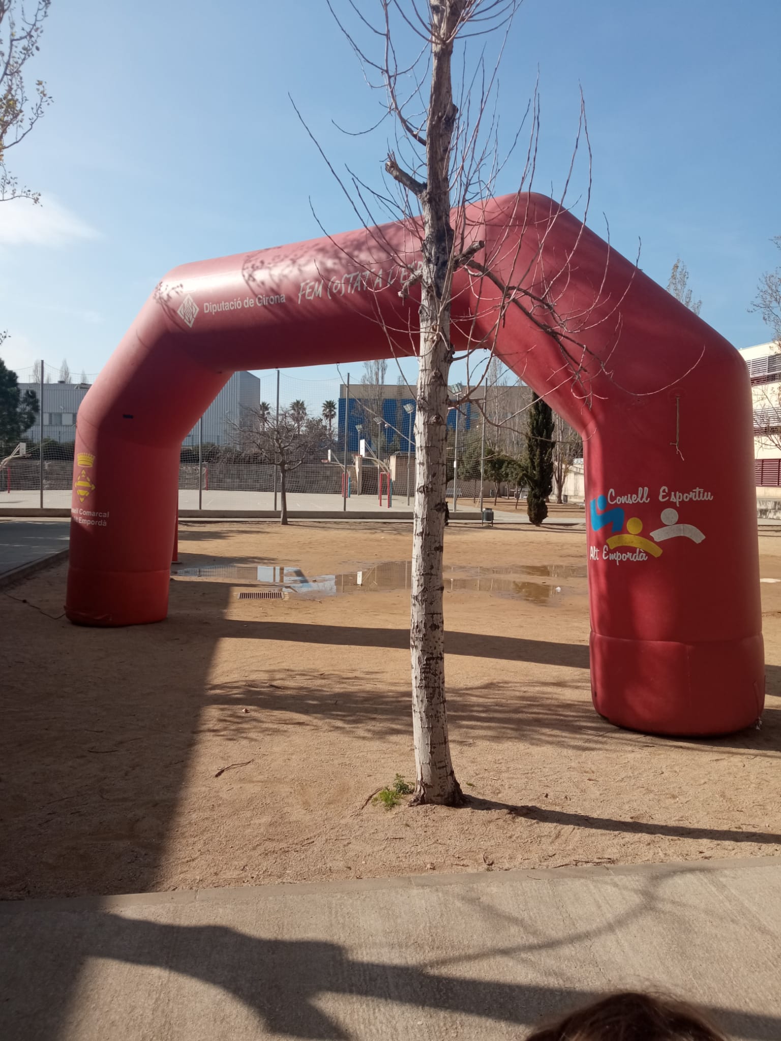 WhatsApp Image 2025-02-16 at 14.30.38