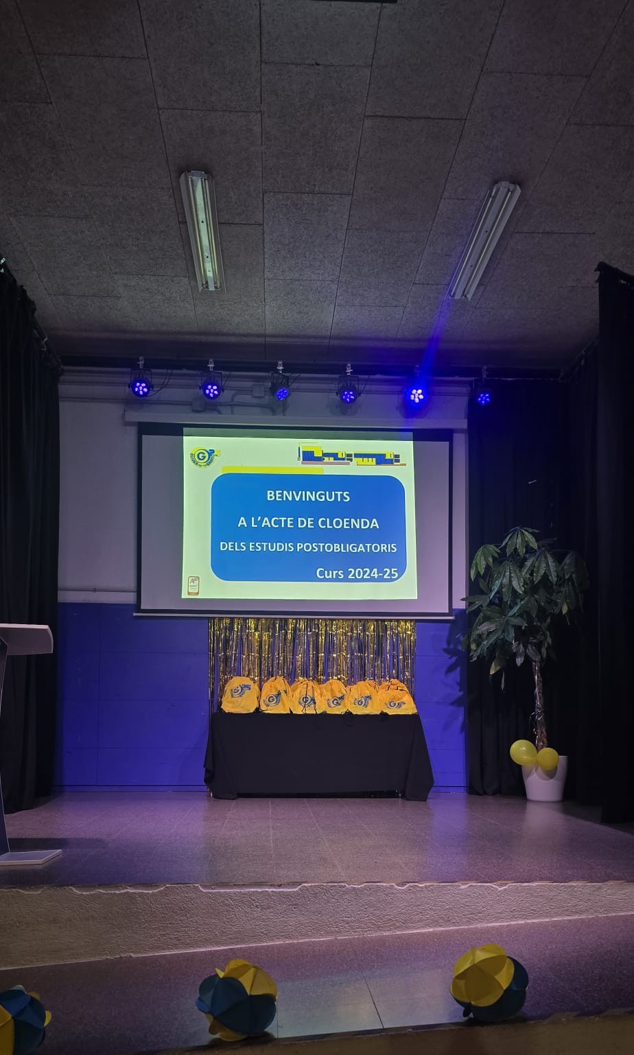 WhatsApp Image 2025-05-17 at 06.59.05 (2)