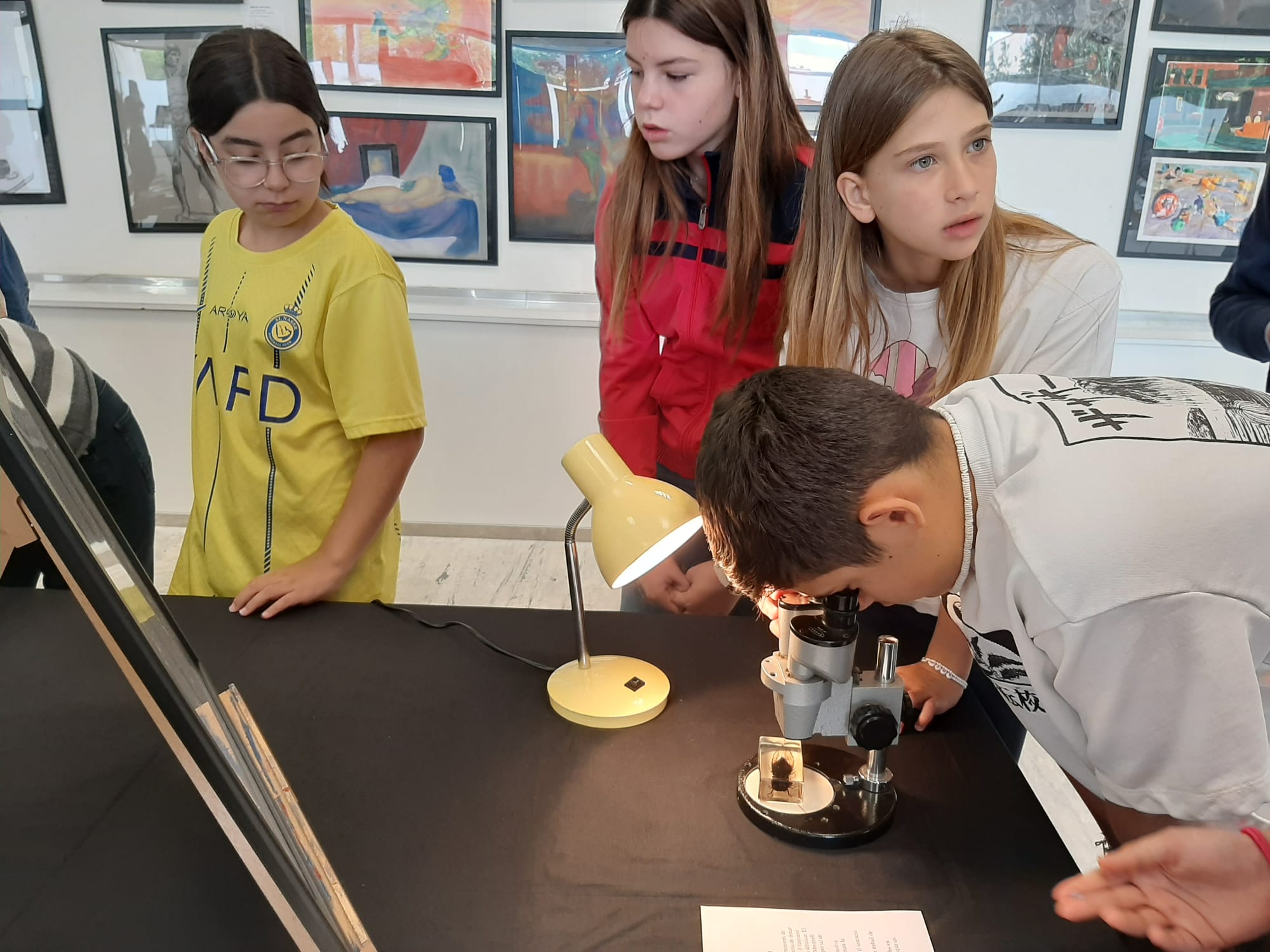 WhatsApp Image 2024-05-17 at 12.59.31 (4)