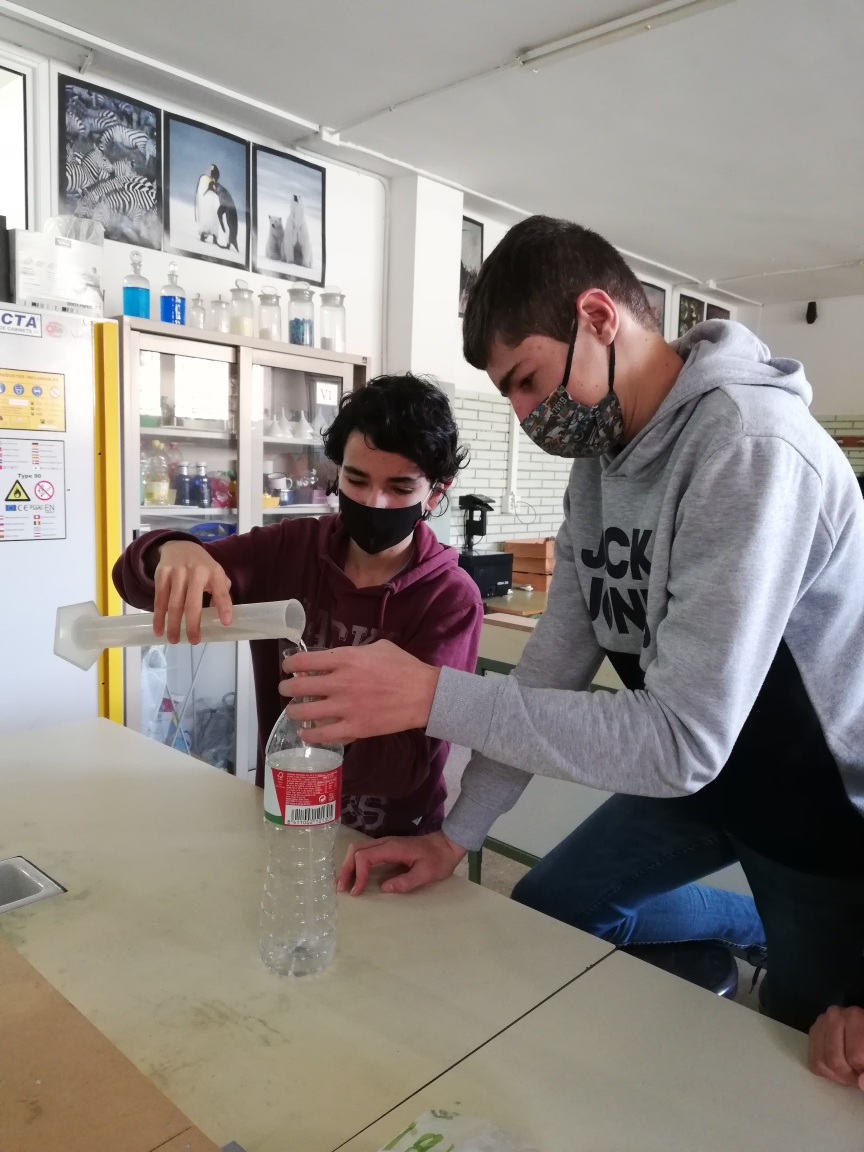 IMG_20201113_095129_resized_20201201_080818105