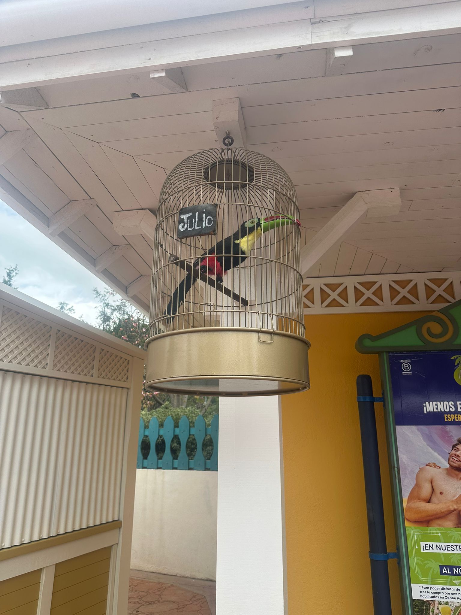 WhatsApp Image 2024-06-20 at 16.57.58 (4)