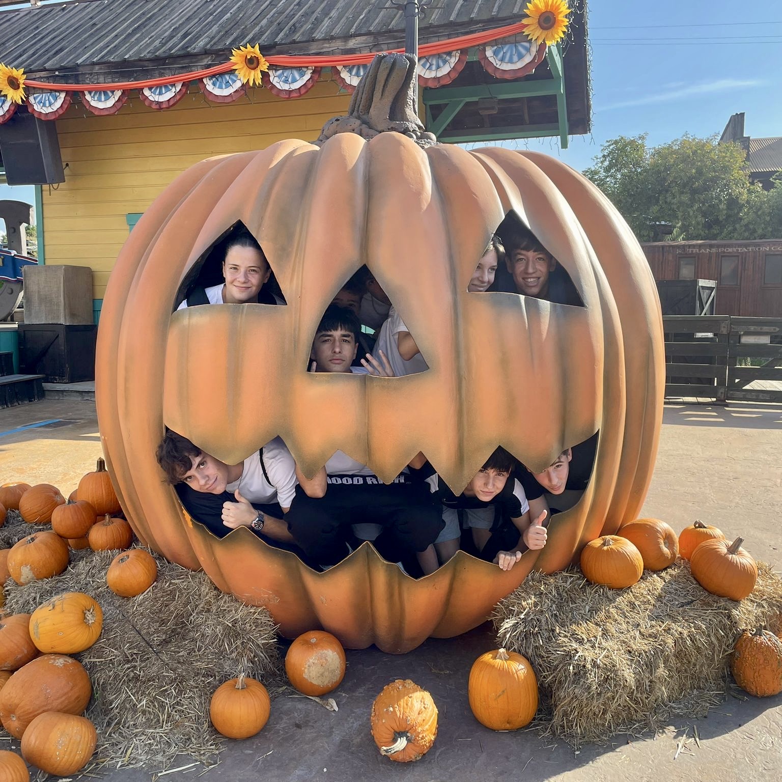 30fc525e-63c9-43dd-ad61-03ff04582b3a